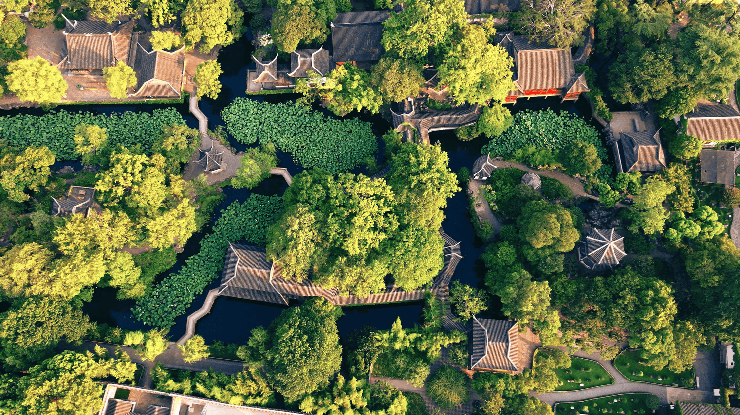 Everything you need to know about Chinese Gardens | History, Layout, Designs, Tour Guide