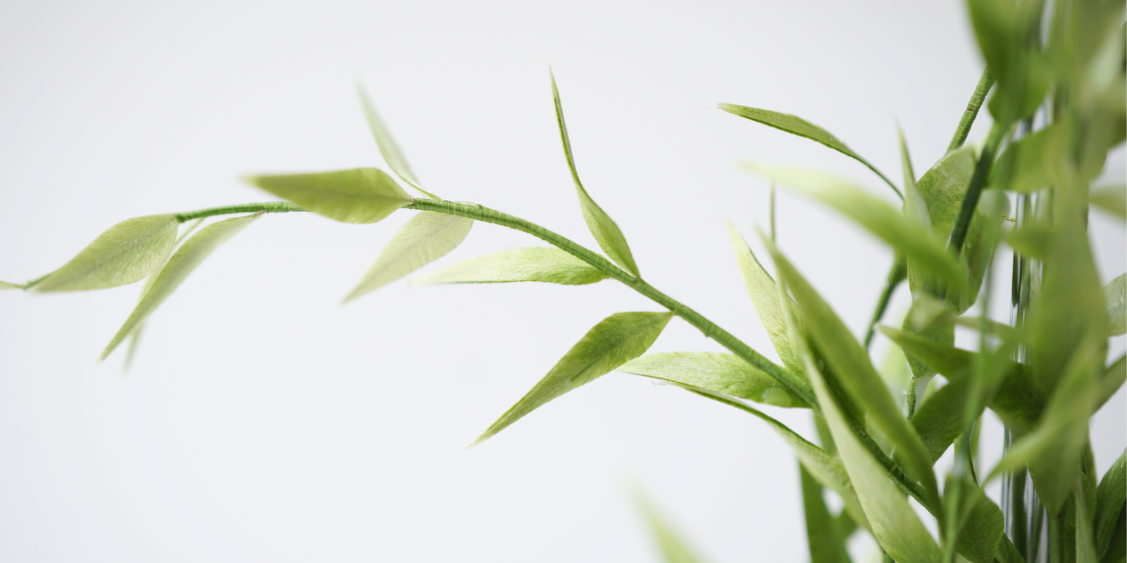 Ronghua Tutorial: How to make Willow Candle Holder