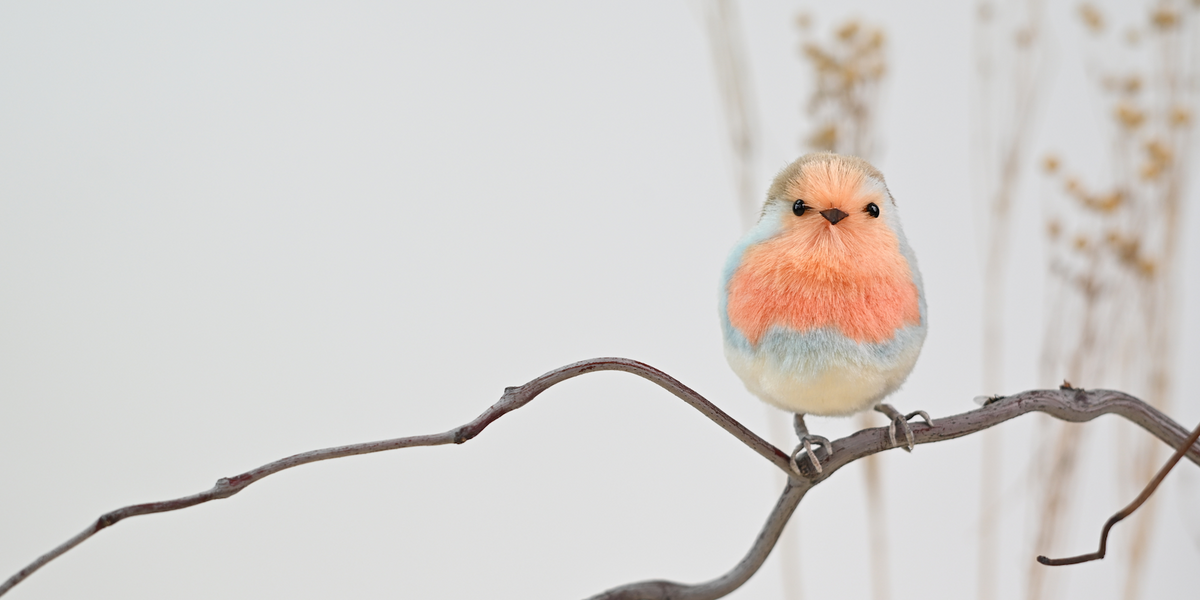 Ronghua Tutorial: How to Make a Silk Robin