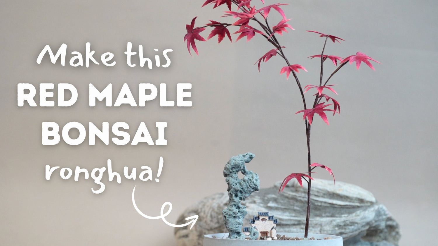 Step-by-Step Guide to make Red Maple Bonsai
