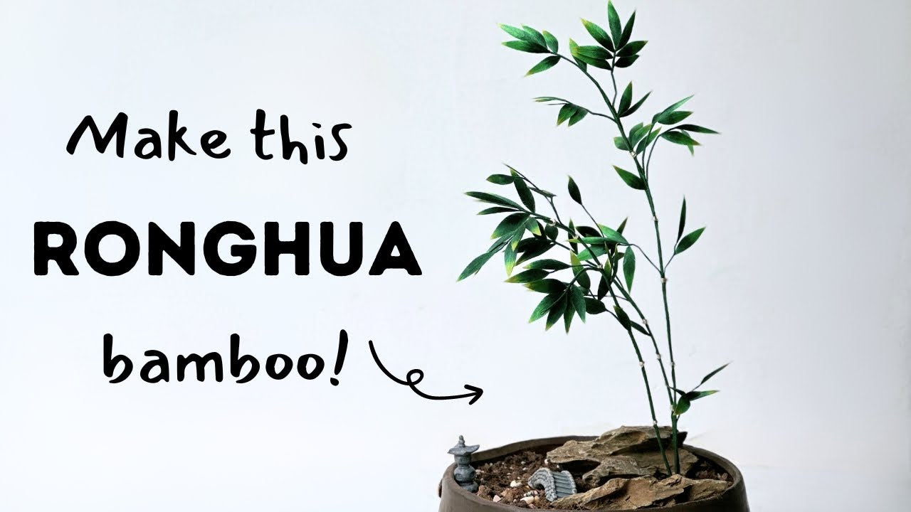 Step-by-Step Guide to make Ronghua Bamboo Bonsai/Penjing