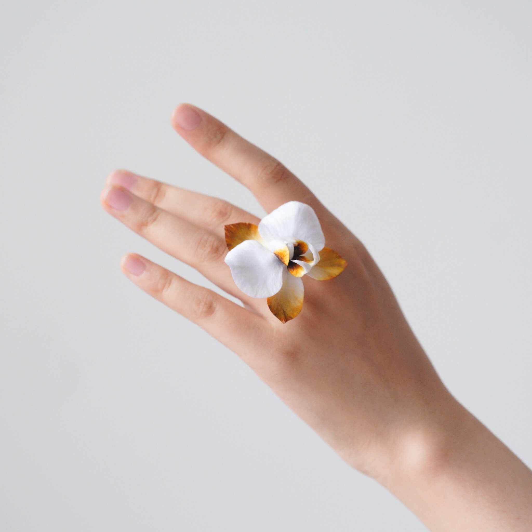 Ronghua DIY Kit | Autumn Dew Butterfly Orchid