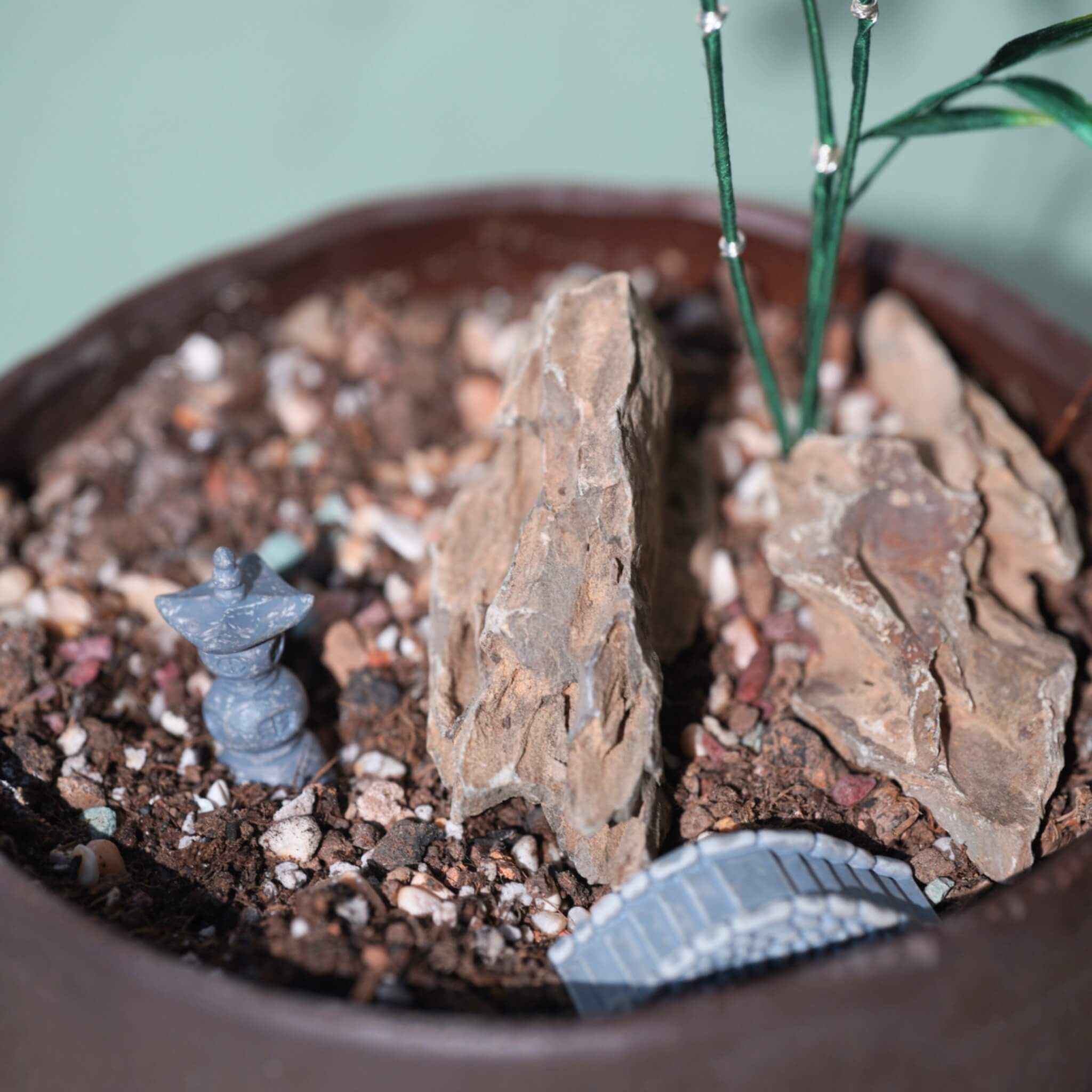 Ronghua DIY Kit | Bamboo Penjing/Bonsai
