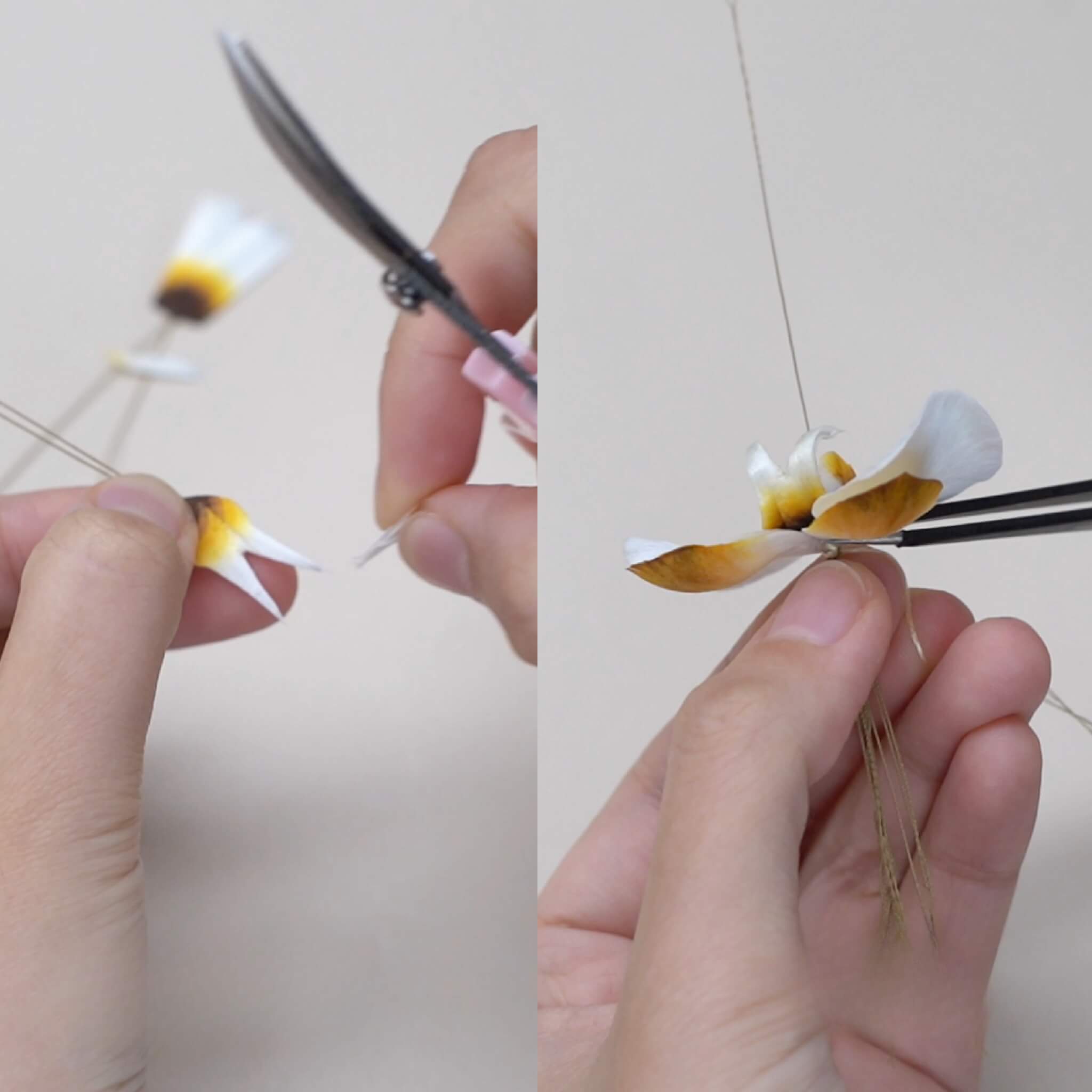 Ronghua DIY Kit | Autumn Dew Butterfly Orchid
