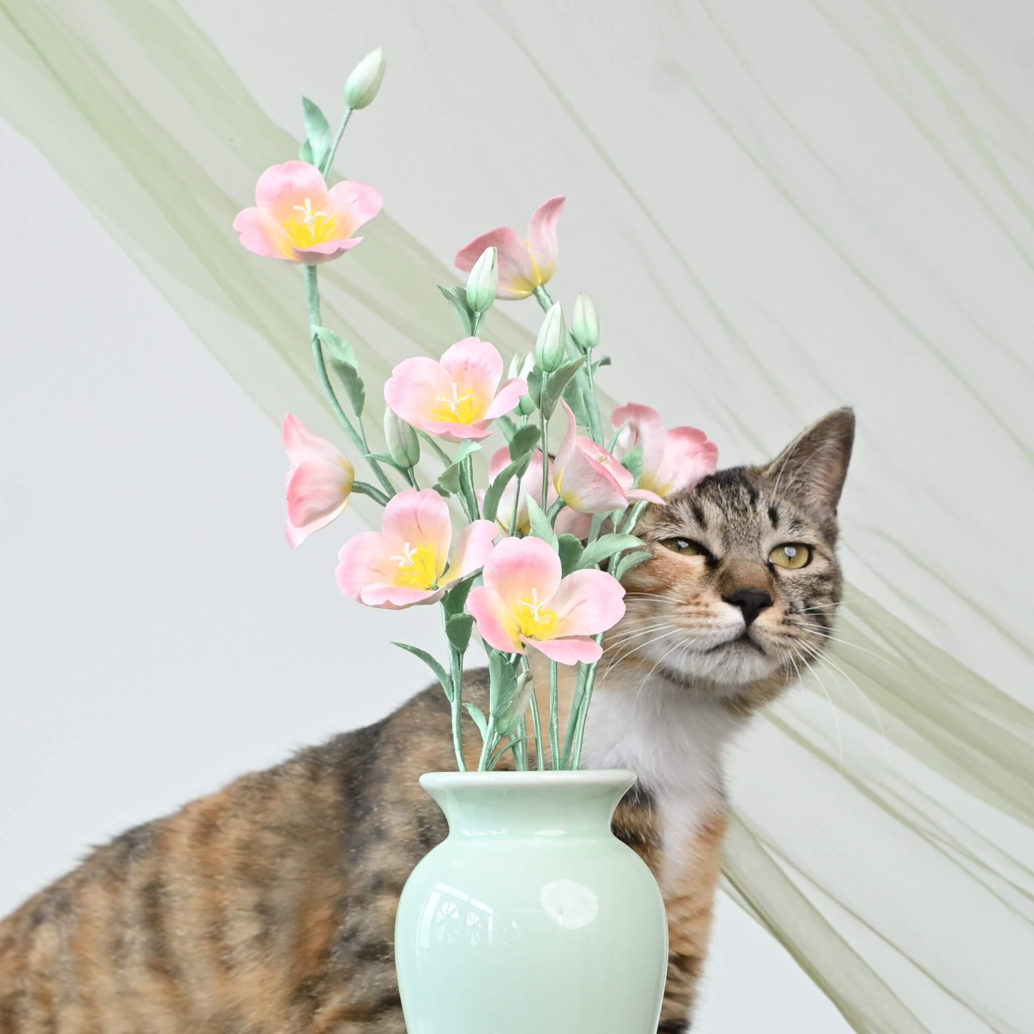 Ronghua DIY Kit | Evening Primroses