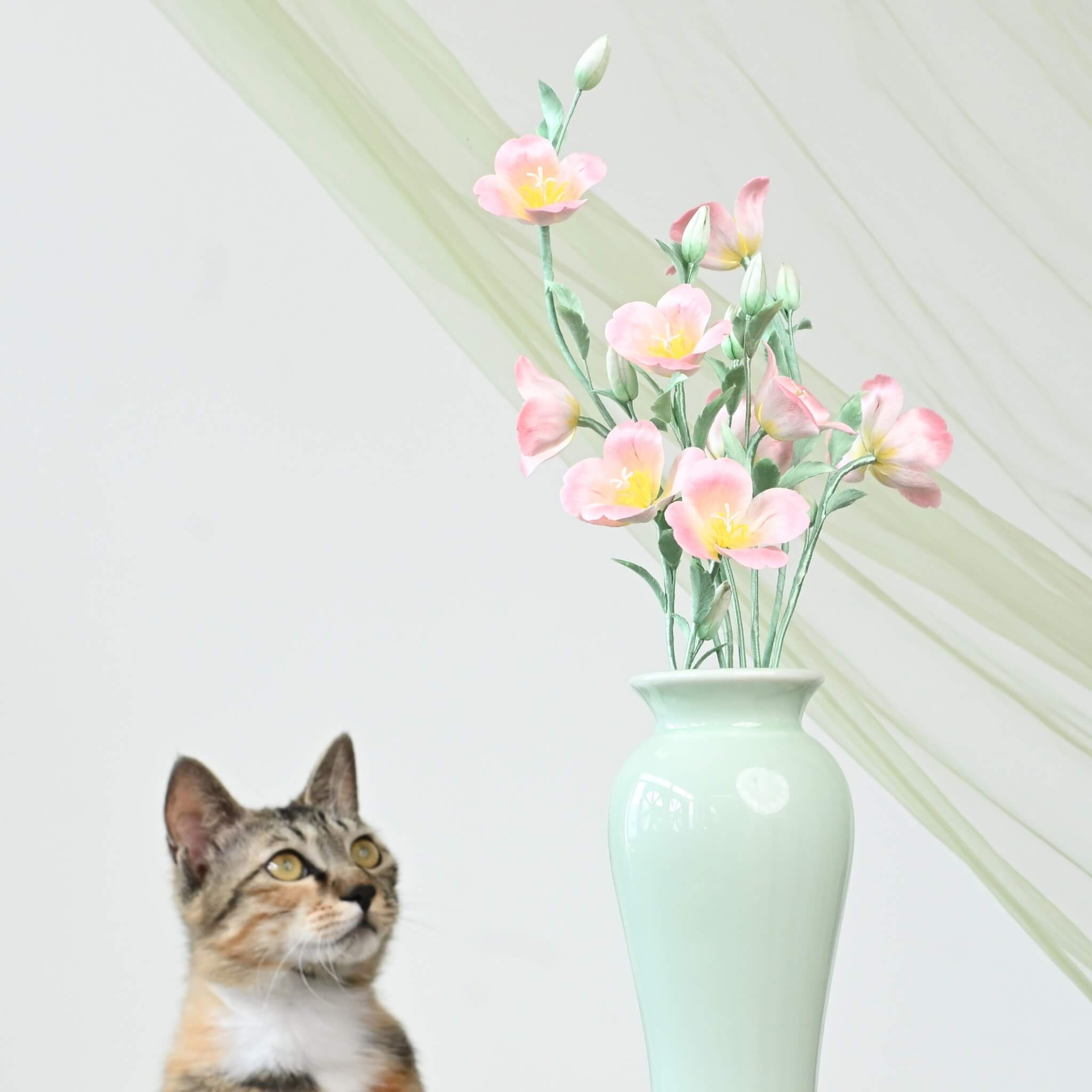 Ronghua DIY Kit | Evening Primroses