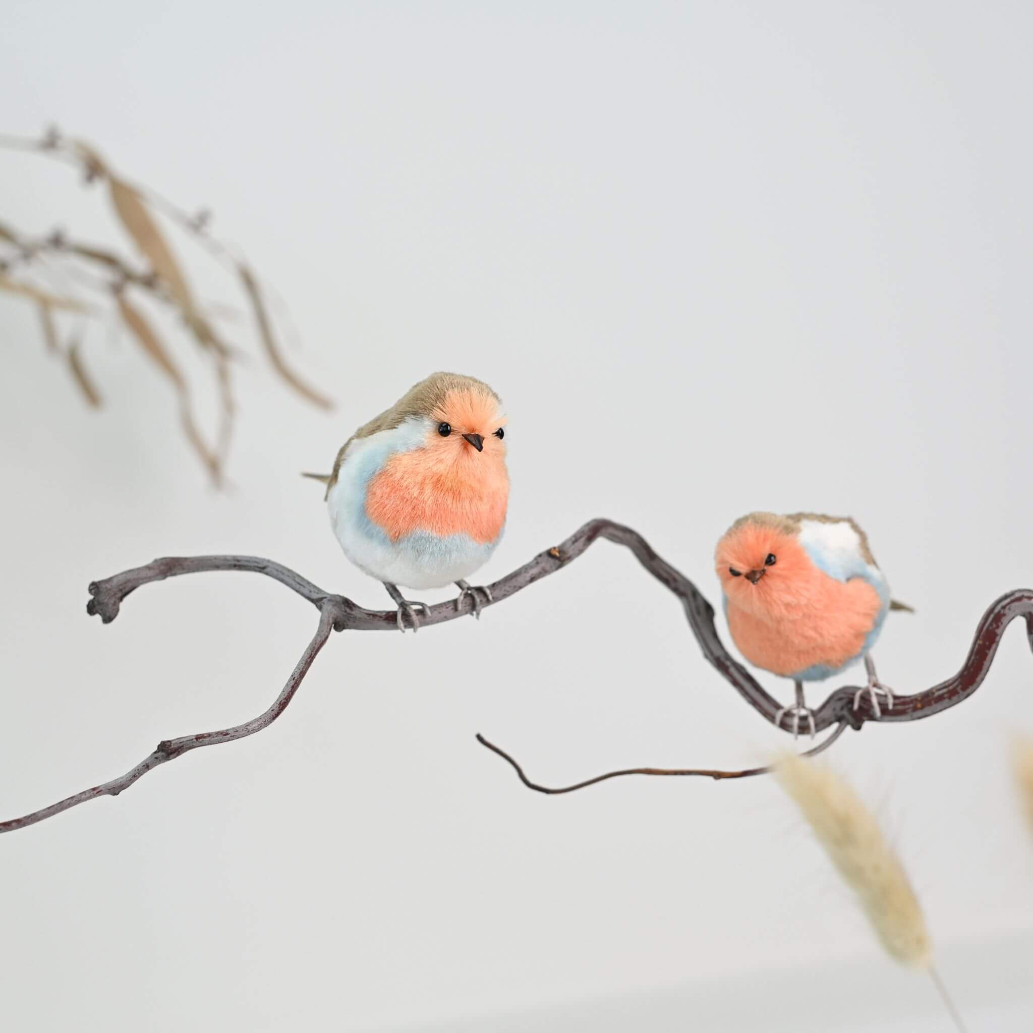 Ronghua DIY Kit | Robin from the Garden