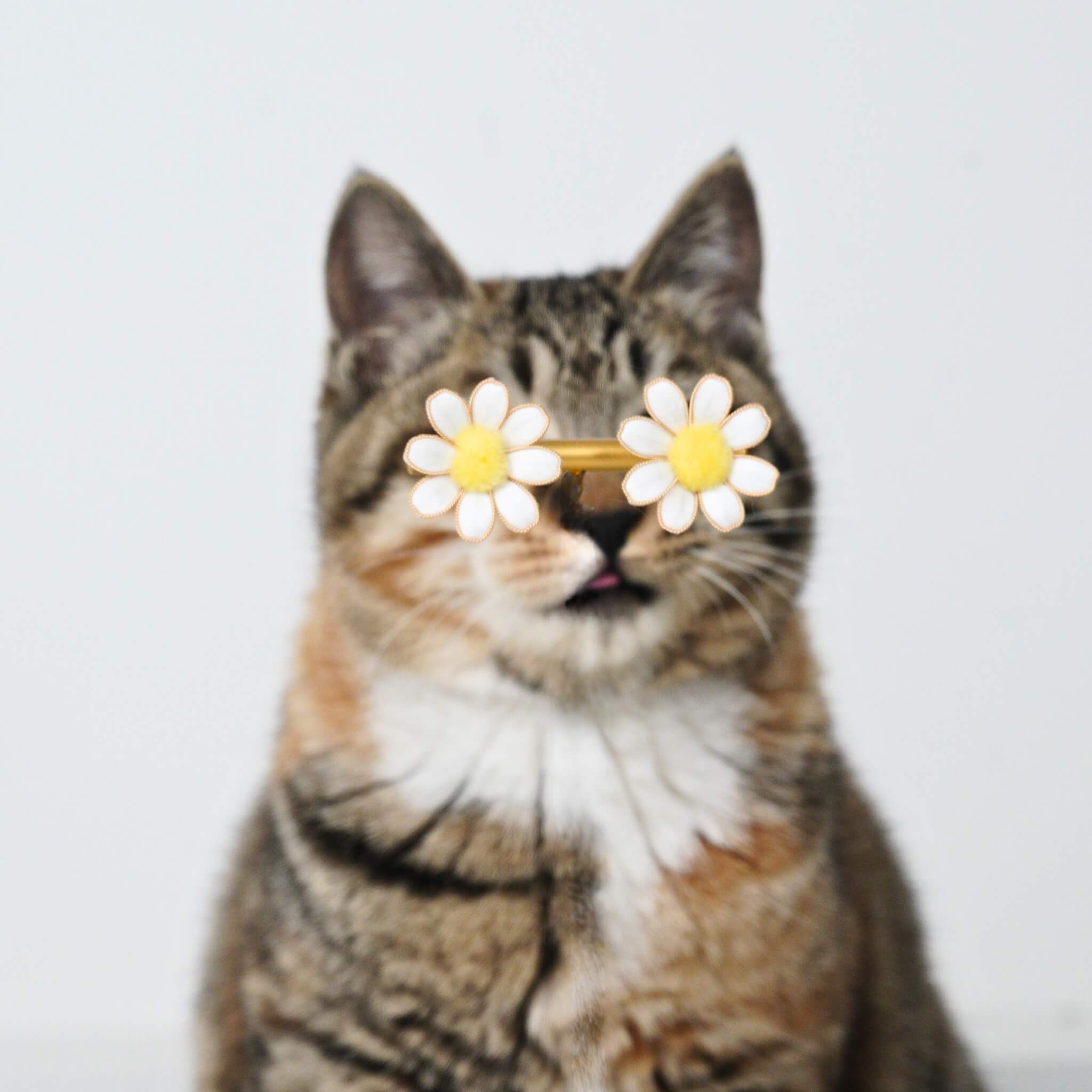 Handmade Ronghua | Daisy Earrings