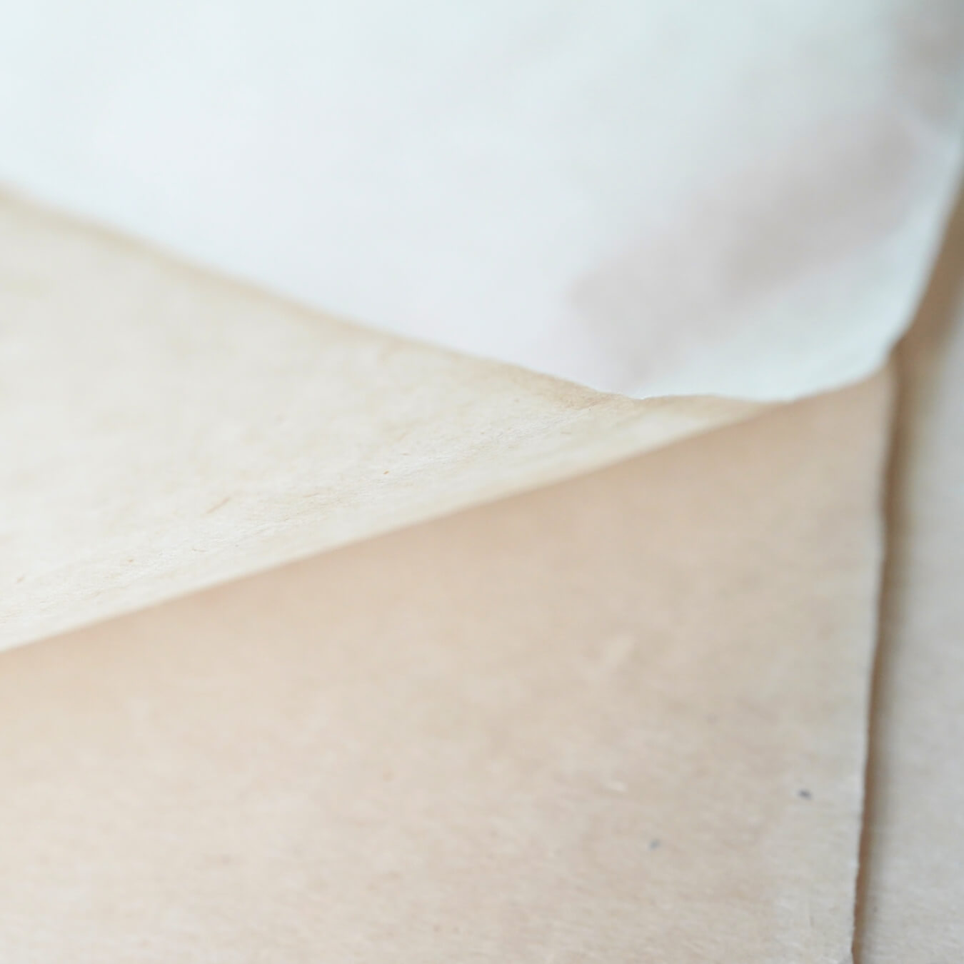 Handmade Mulberry Paper | Silk