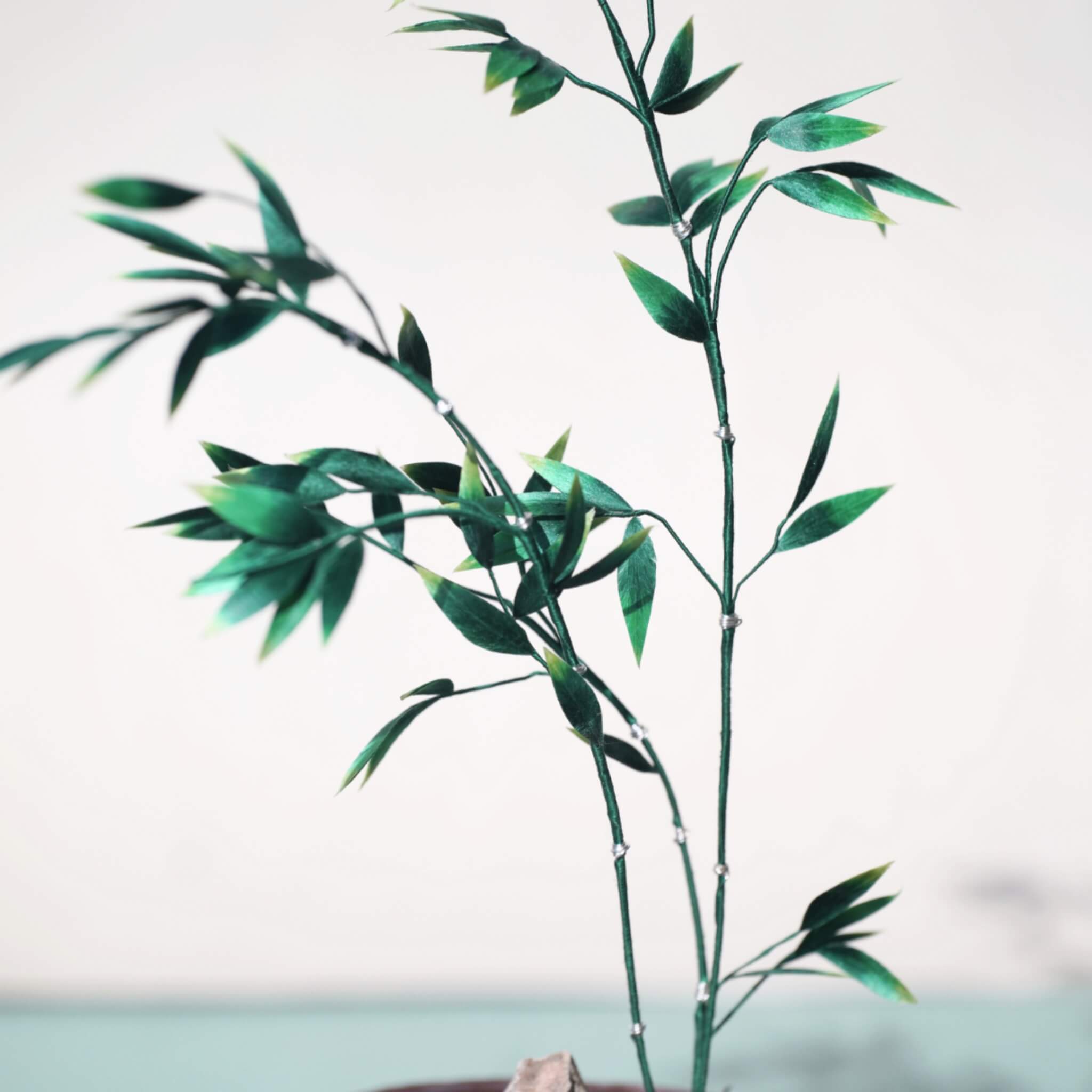 Ronghua DIY Kit | Bamboo Penjing/Bonsai