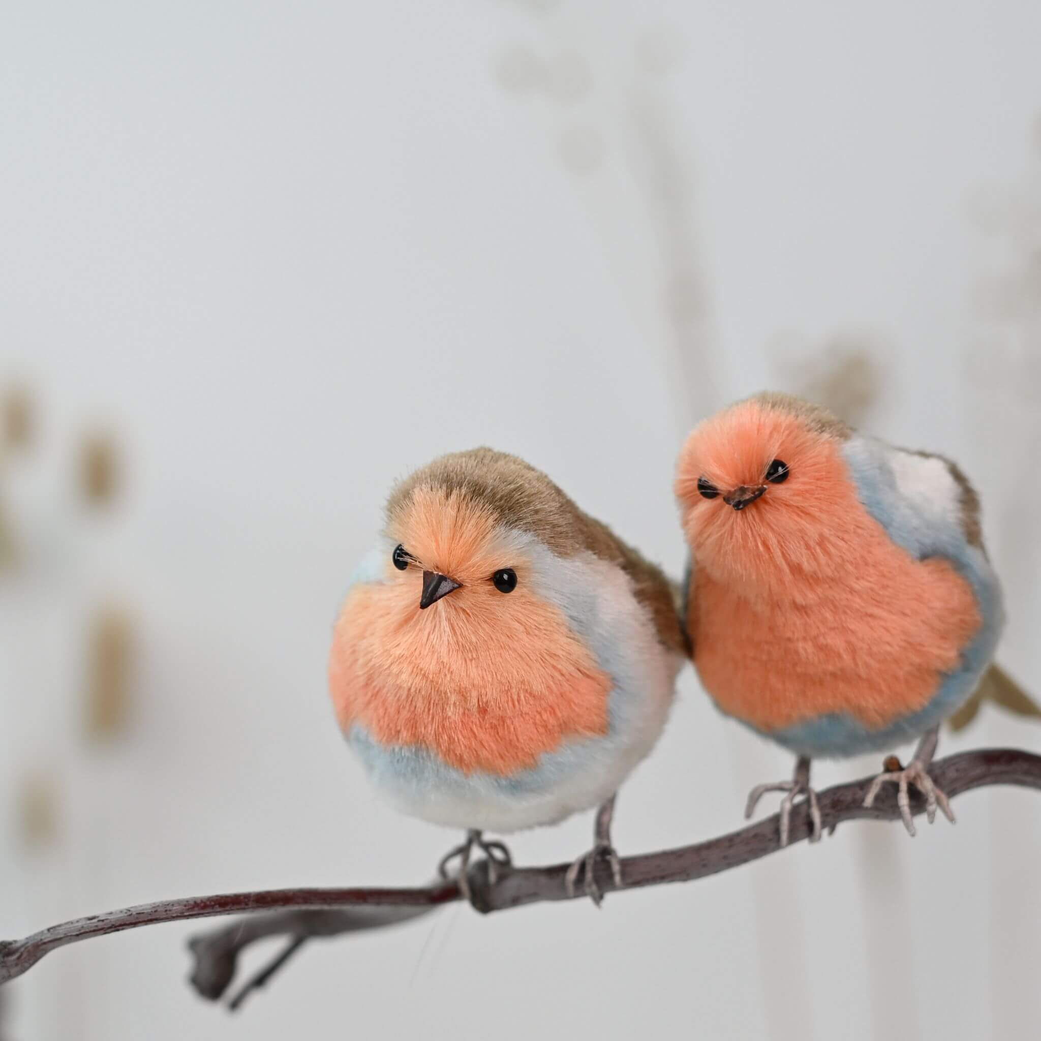 Ronghua DIY Kit | Robin from the Garden