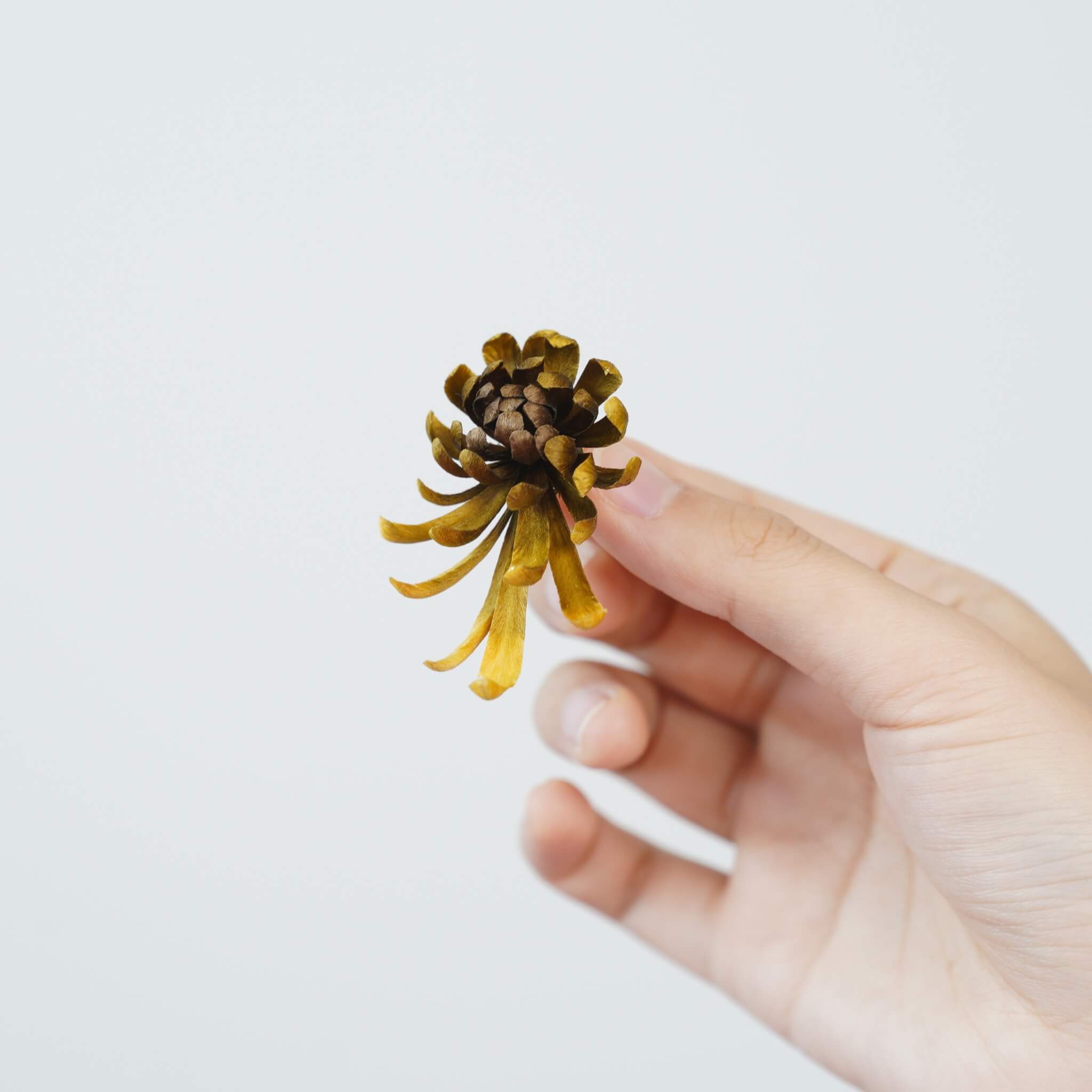 Handmade Ronghua | Fall For You Earrings