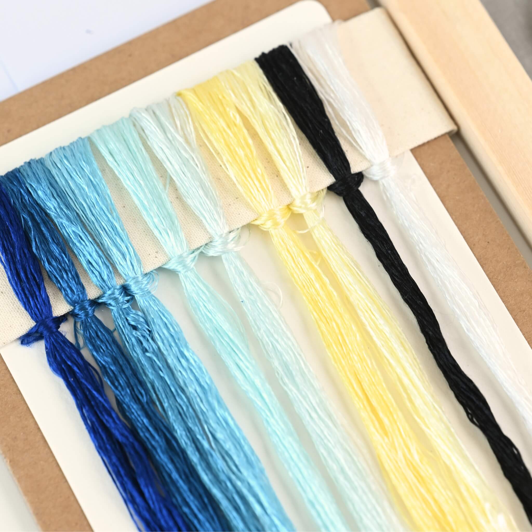 Shu Silk Embroidery DIY Kit | Morpho & Small White