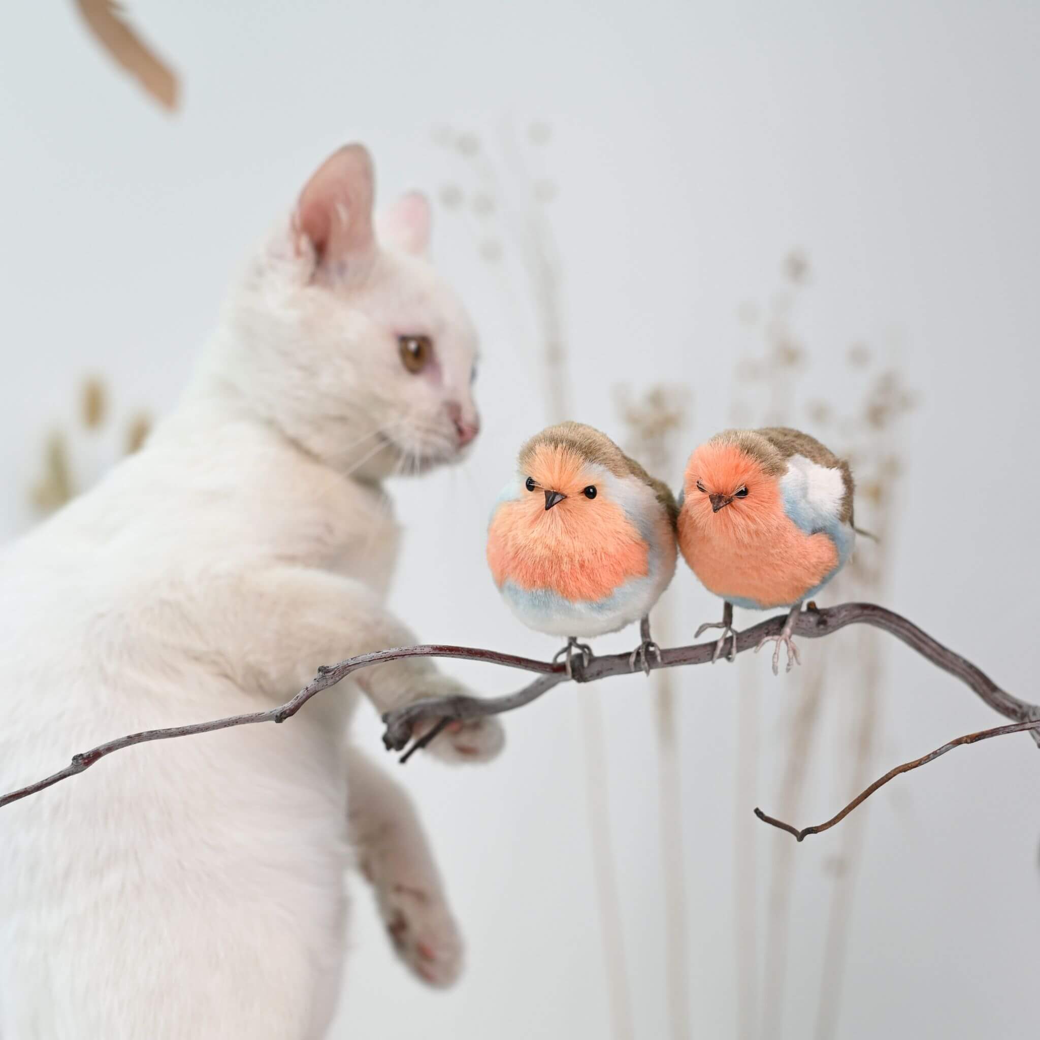 Ronghua DIY Kit | Robin from the Garden