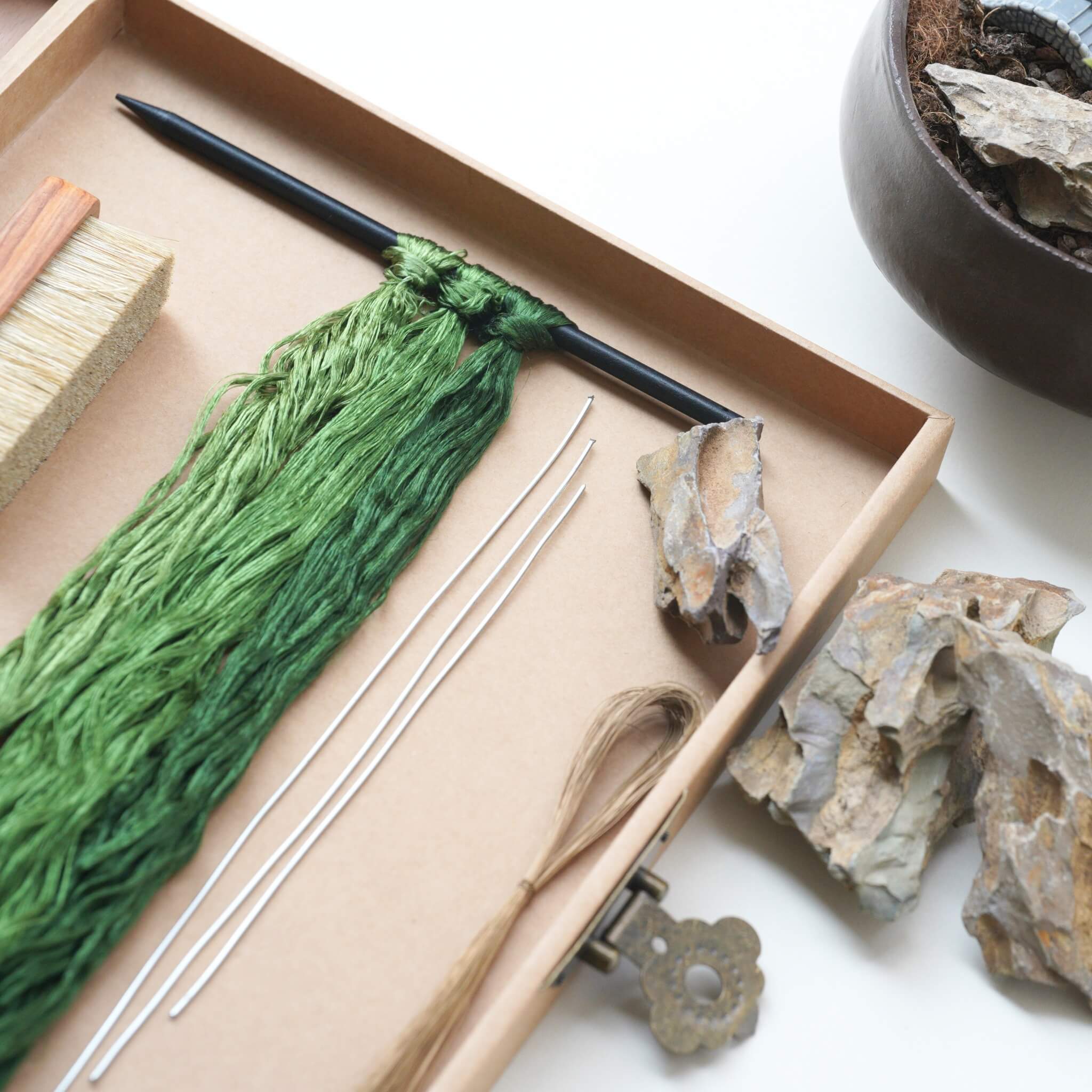 Ronghua DIY Kit | Bamboo Penjing/Bonsai