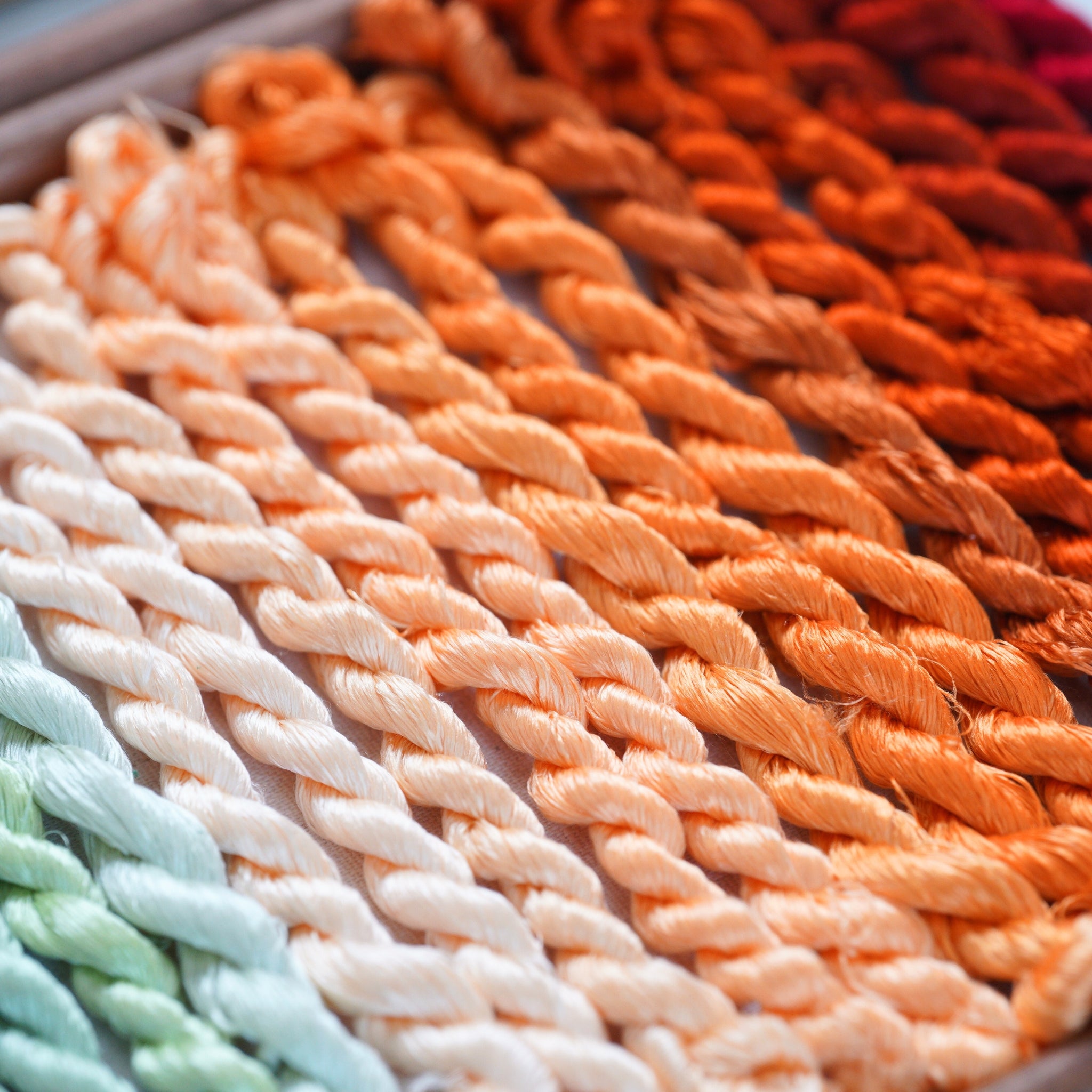 Ronghua DIY Kit | Golden Chrysanthemum Penjing