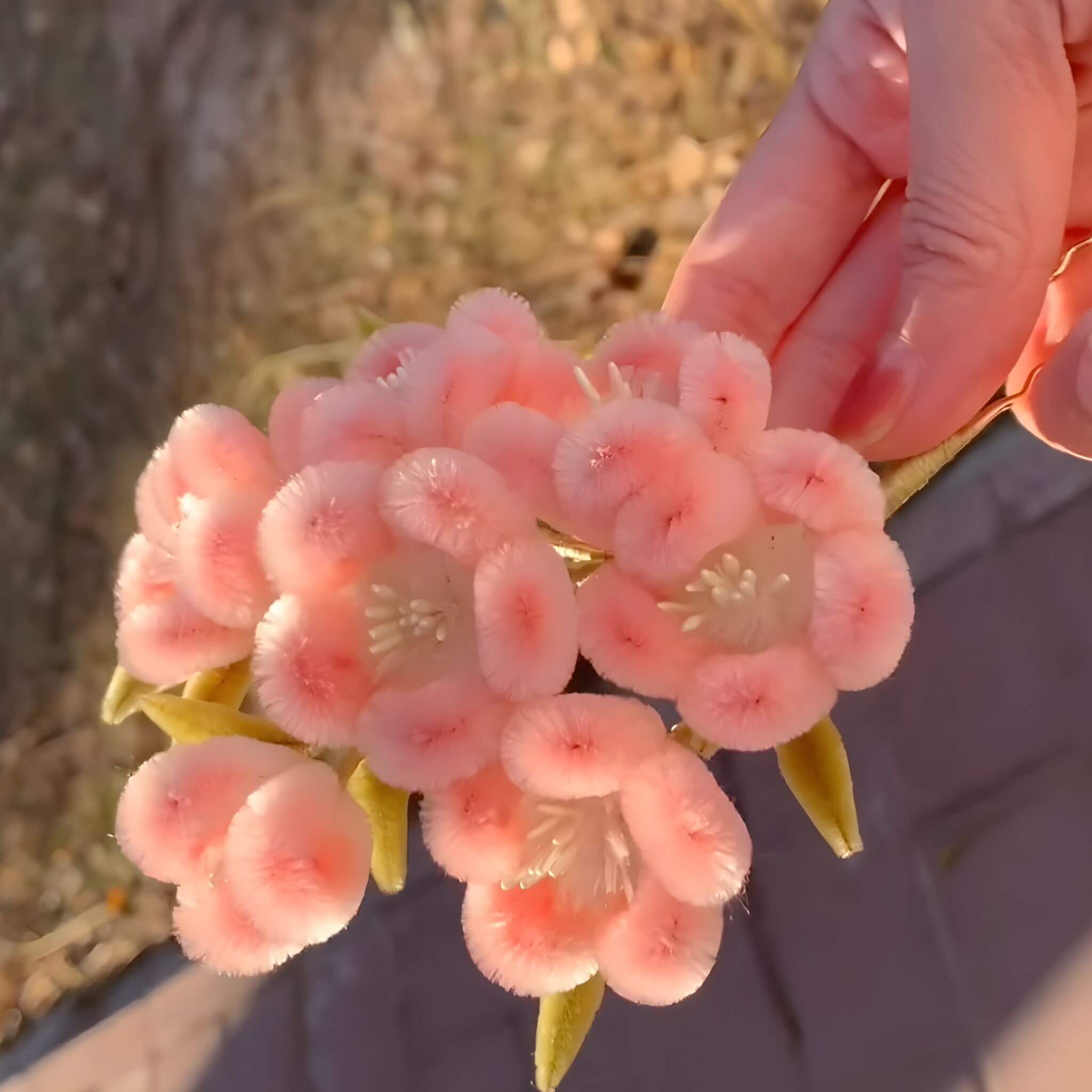 Ronghua DIY Kit | Plum Flowers
