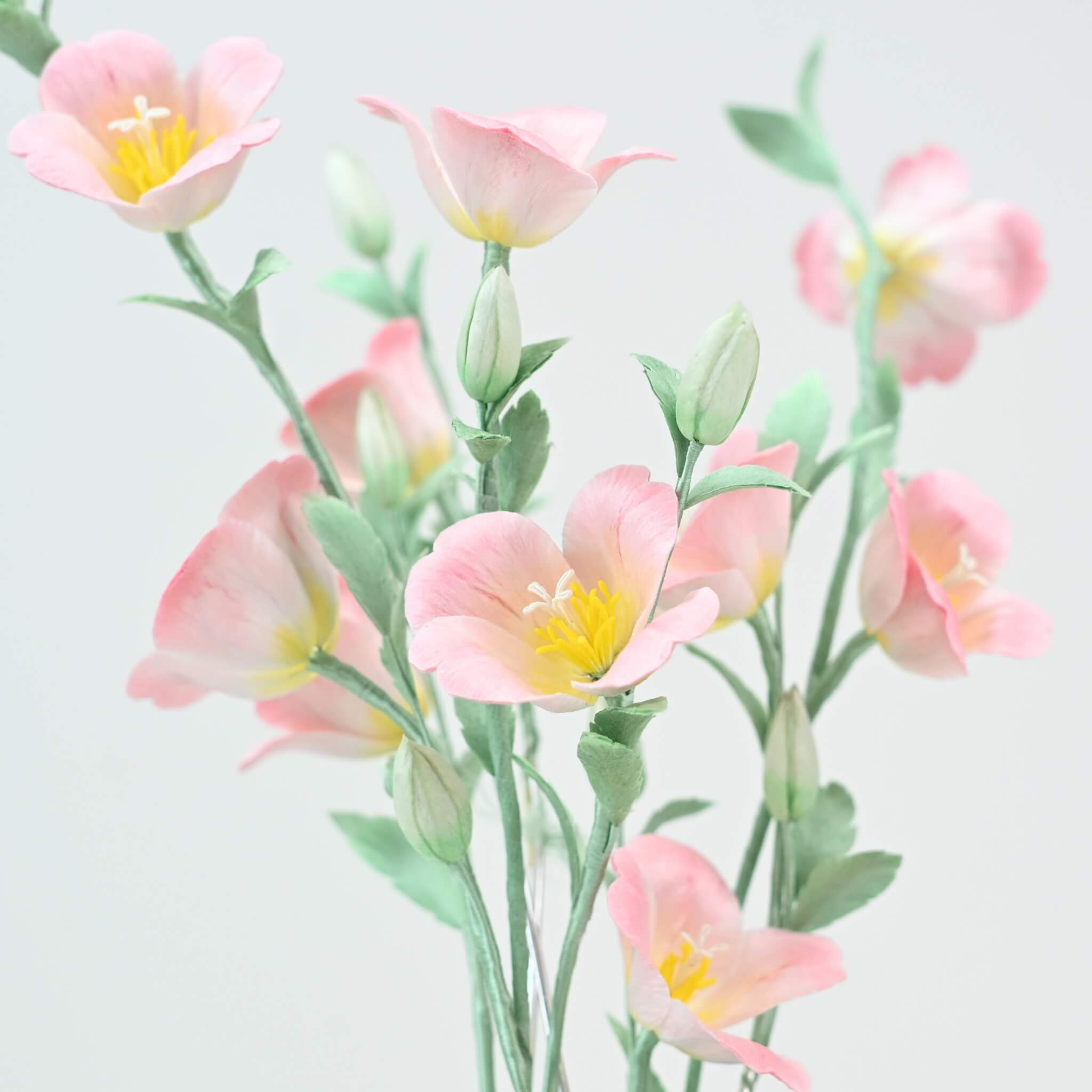 Ronghua DIY Kit | Evening Primroses