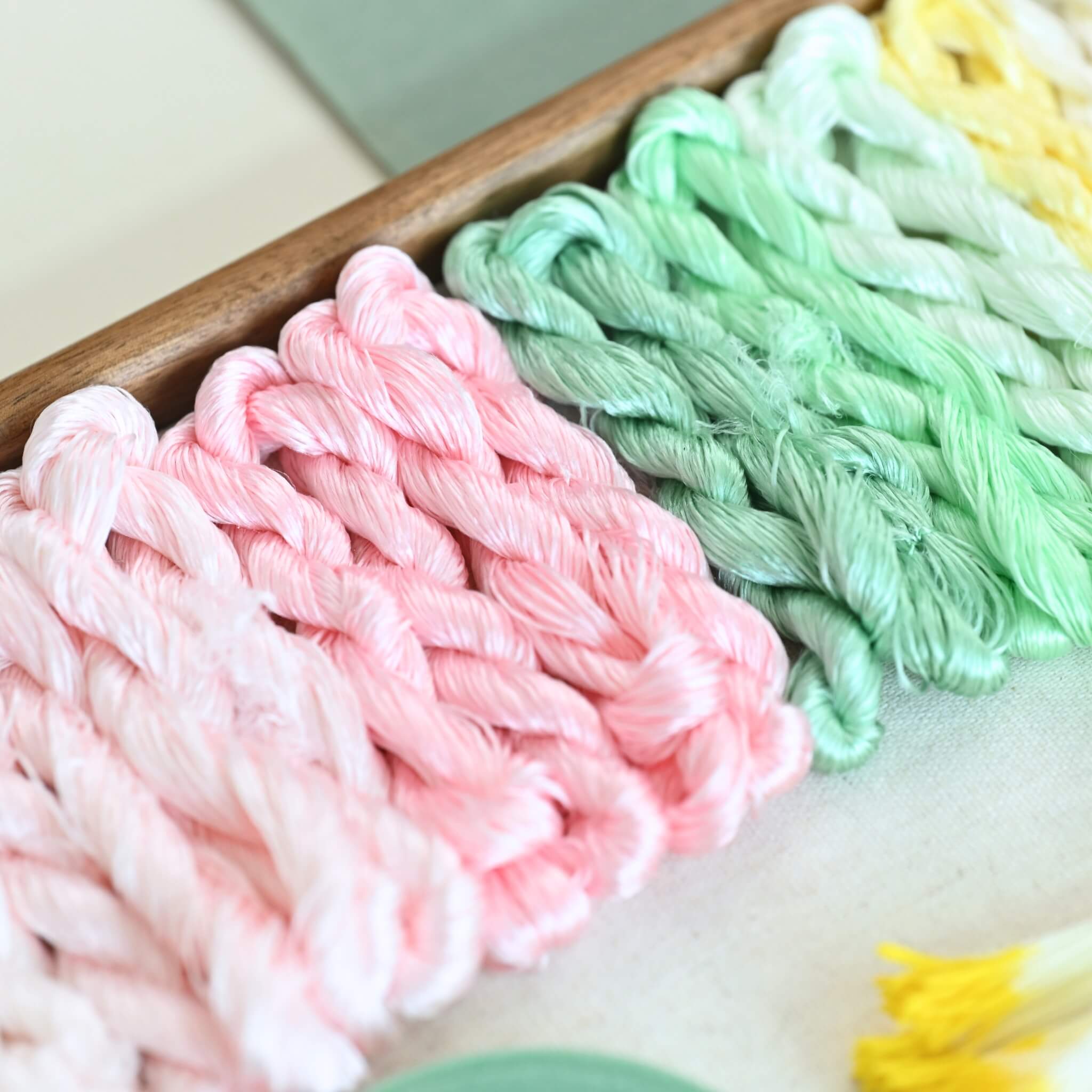 Ronghua DIY Kit | Evening Primroses