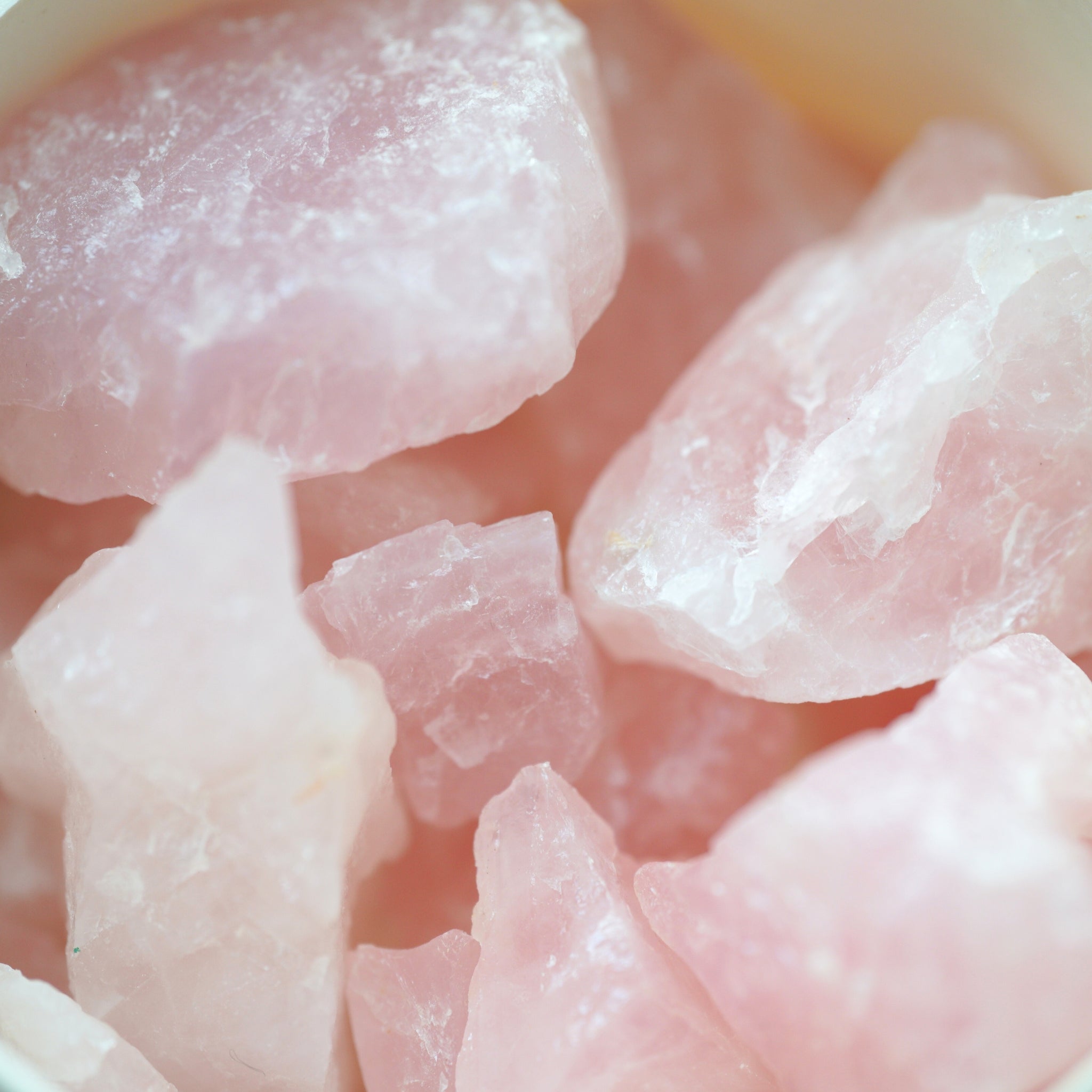 Ronghua DIY Kit | Spring Time Essential Oil Diffuser