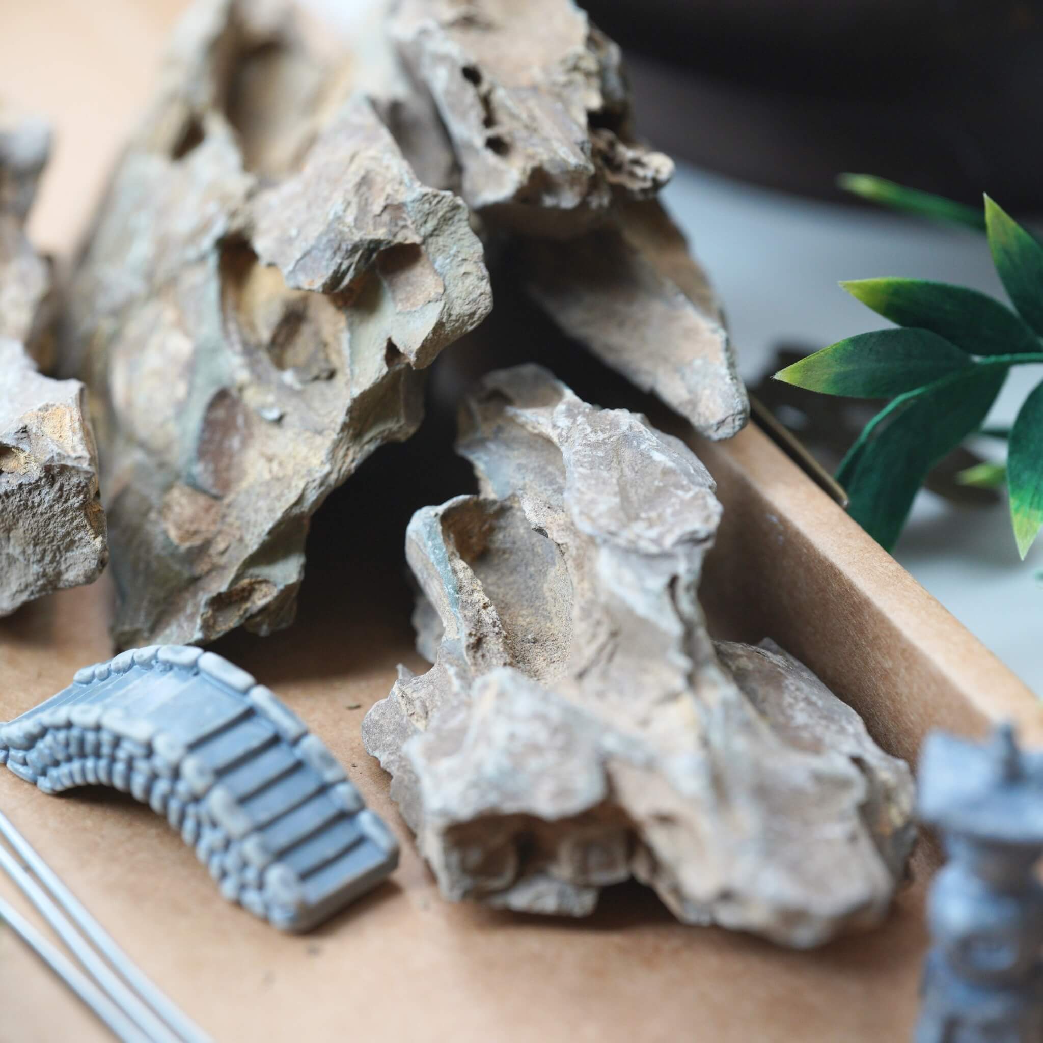 Ronghua DIY Kit | Bamboo Penjing/Bonsai