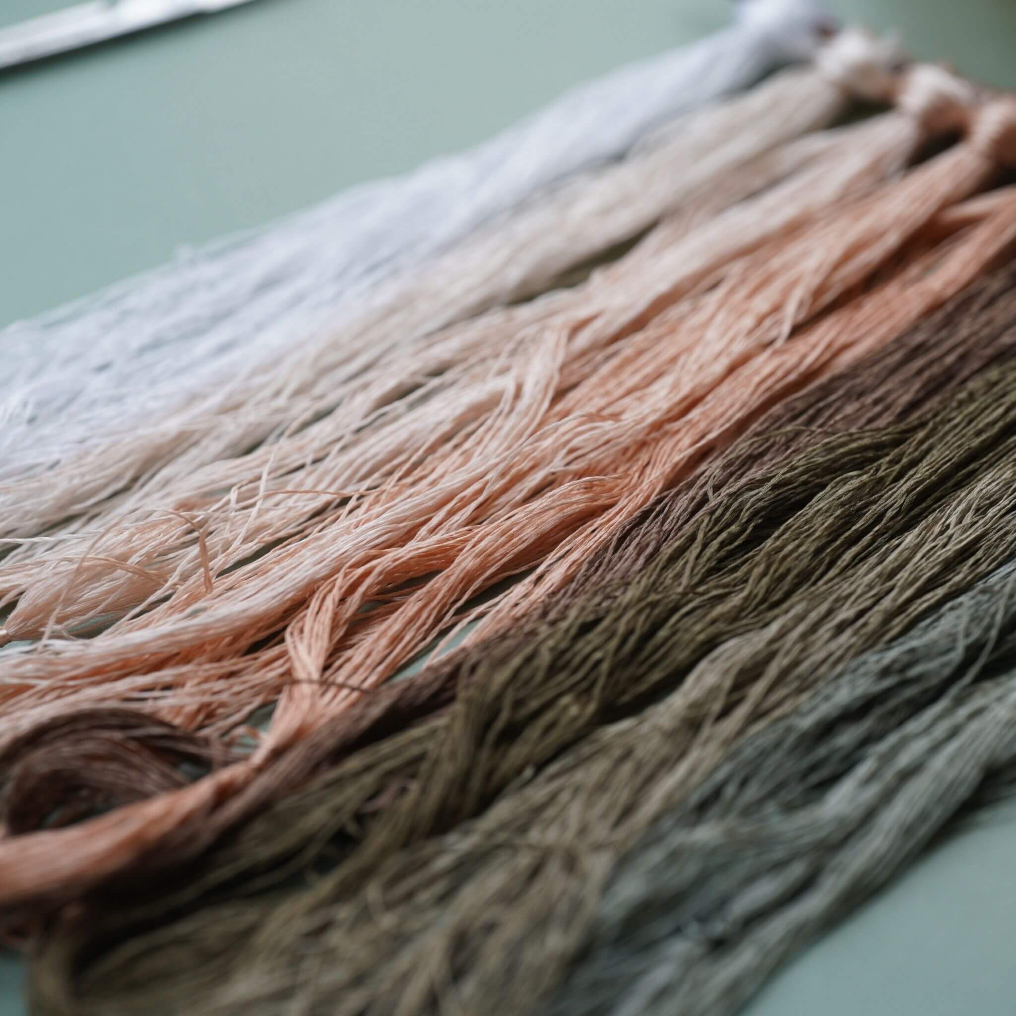 Kit de Inicio de Bordado de Seda de Suzhou | Magnolia