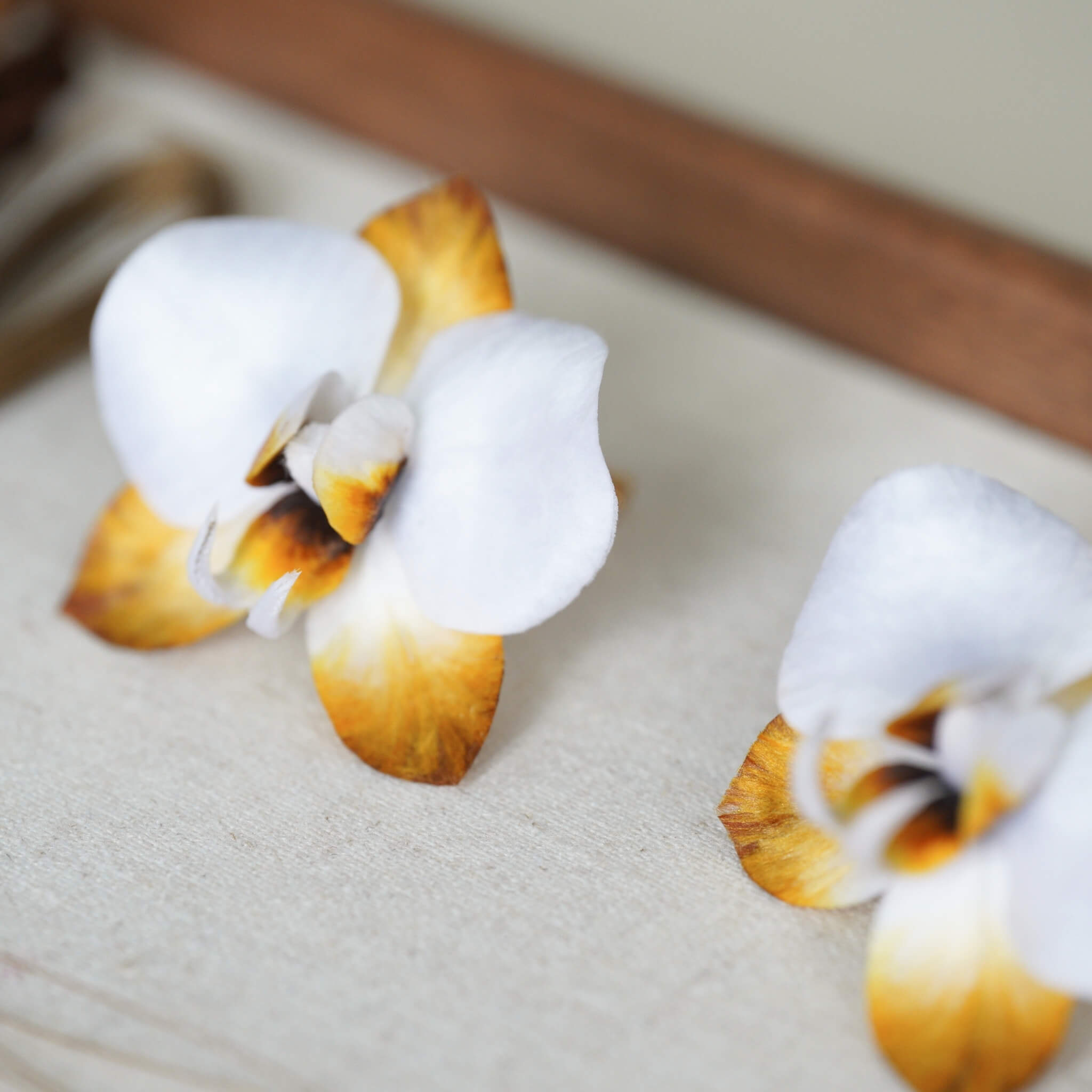 Ronghua DIY Kit | Autumn Dew Butterfly Orchid