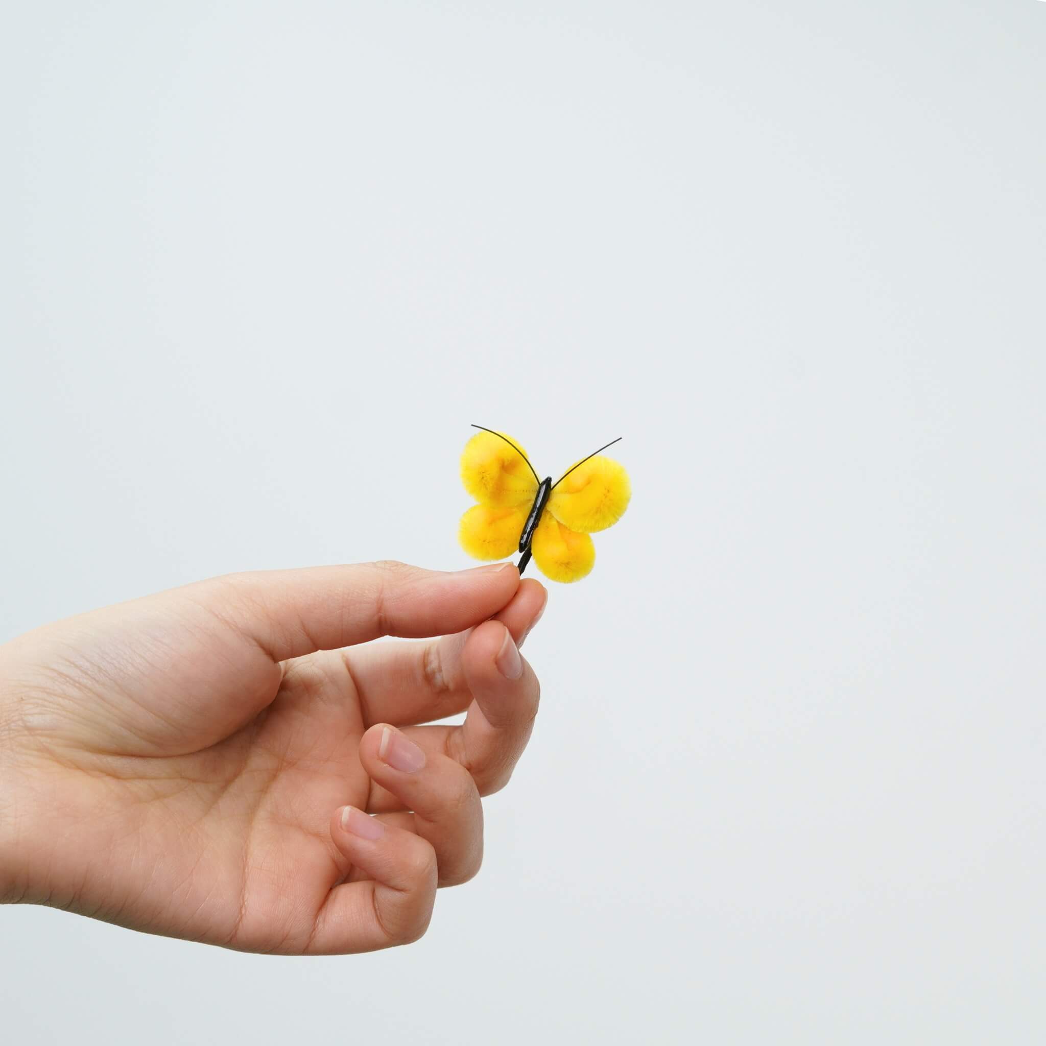 Reborn Butterfly | Limited Gift Edition for Easter 2026