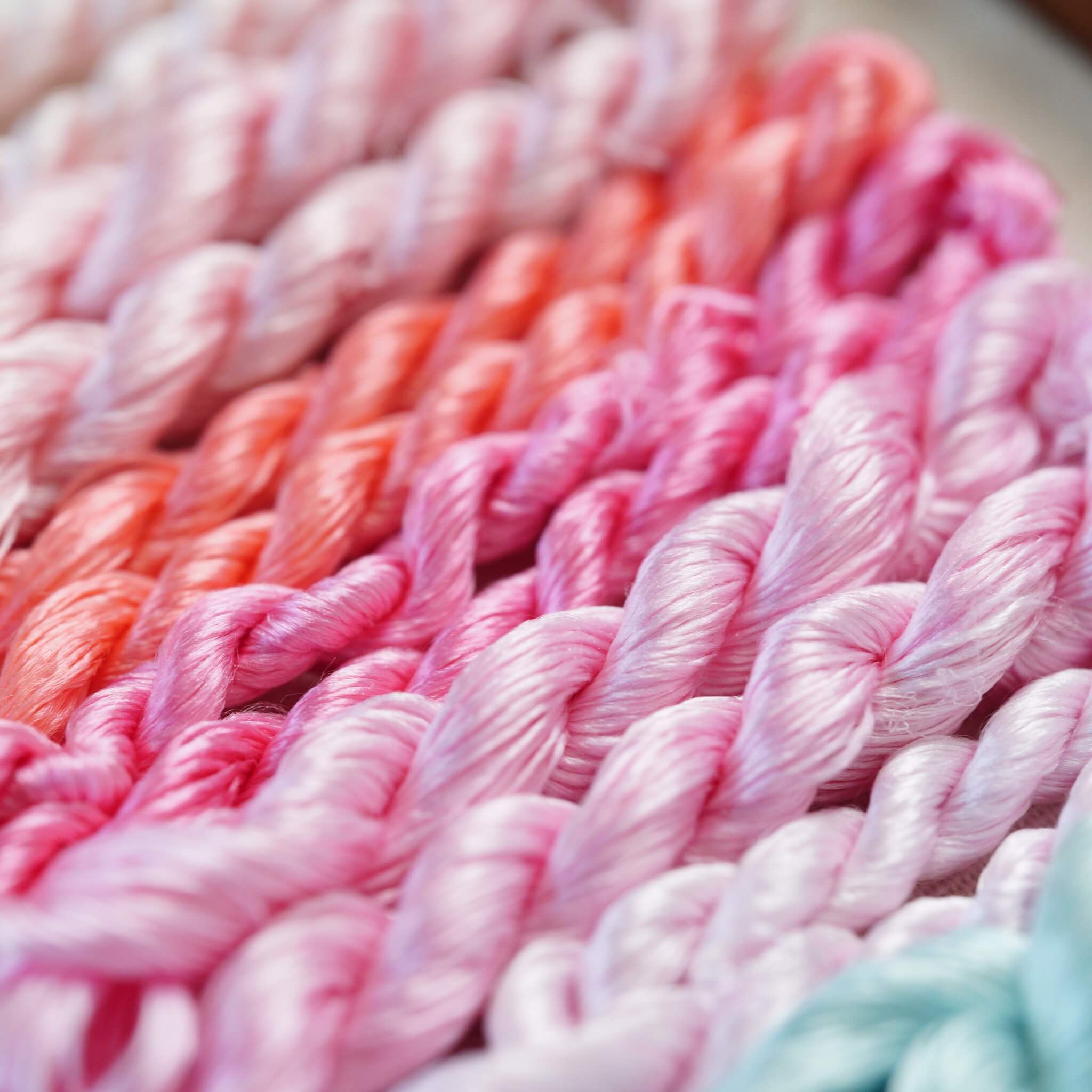 Ronghua DIY Kit | Where Tulips Meet