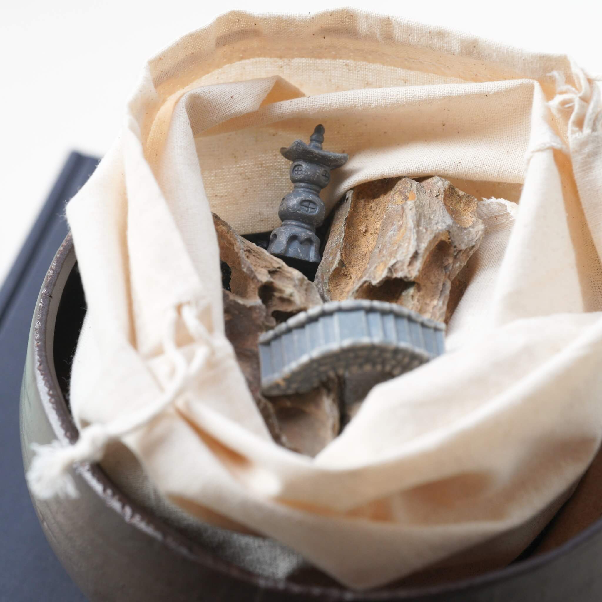 Ronghua DIY Kit | Bamboo Penjing/Bonsai