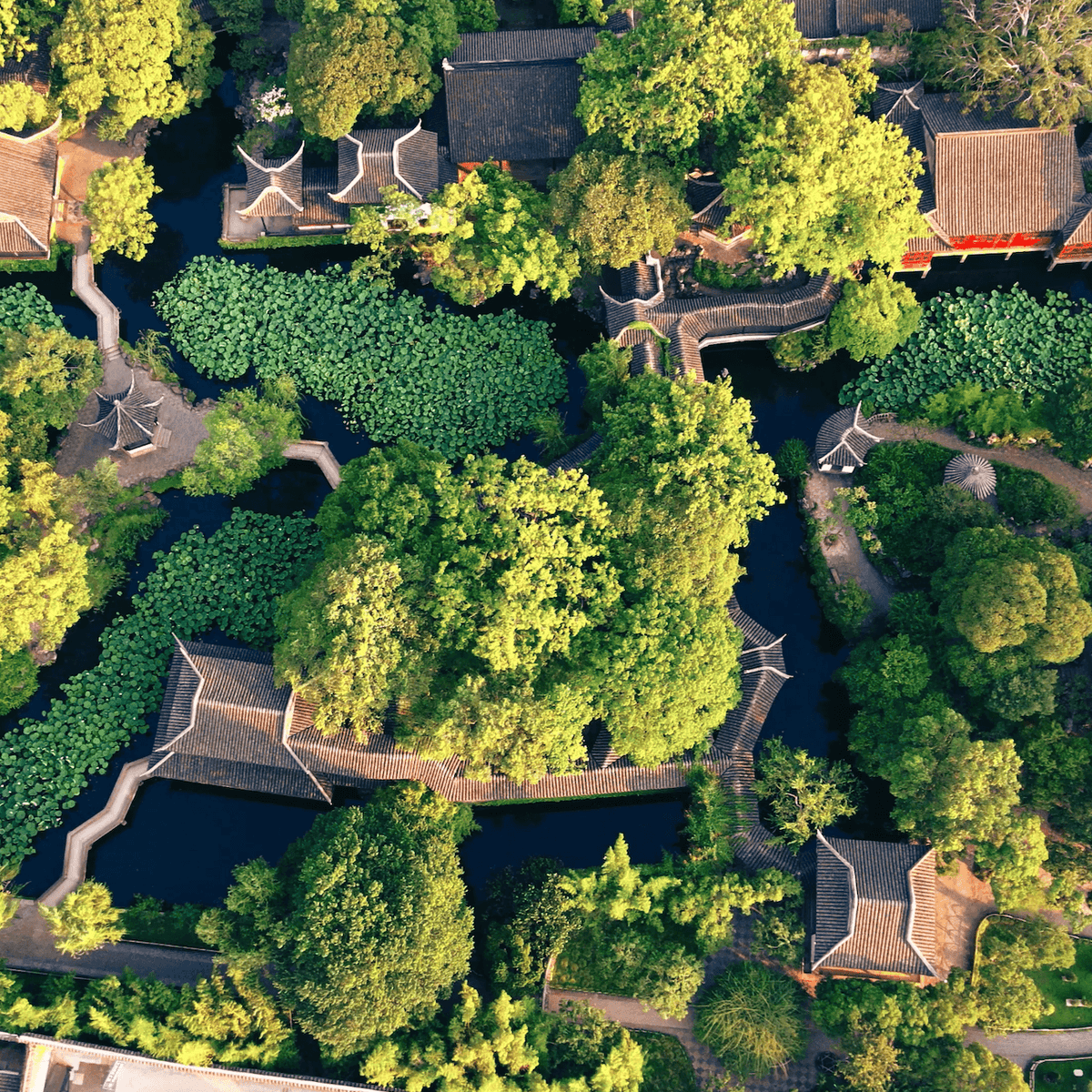 Todo lo que necesitas saber sobre los Jardines Chinos, image size:1200x1200