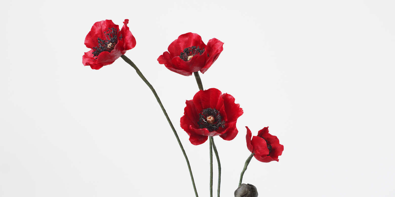 Ronghua Tutorial: how to Make August Poppies & Sunset Poppies Essential Oil Diffuser
