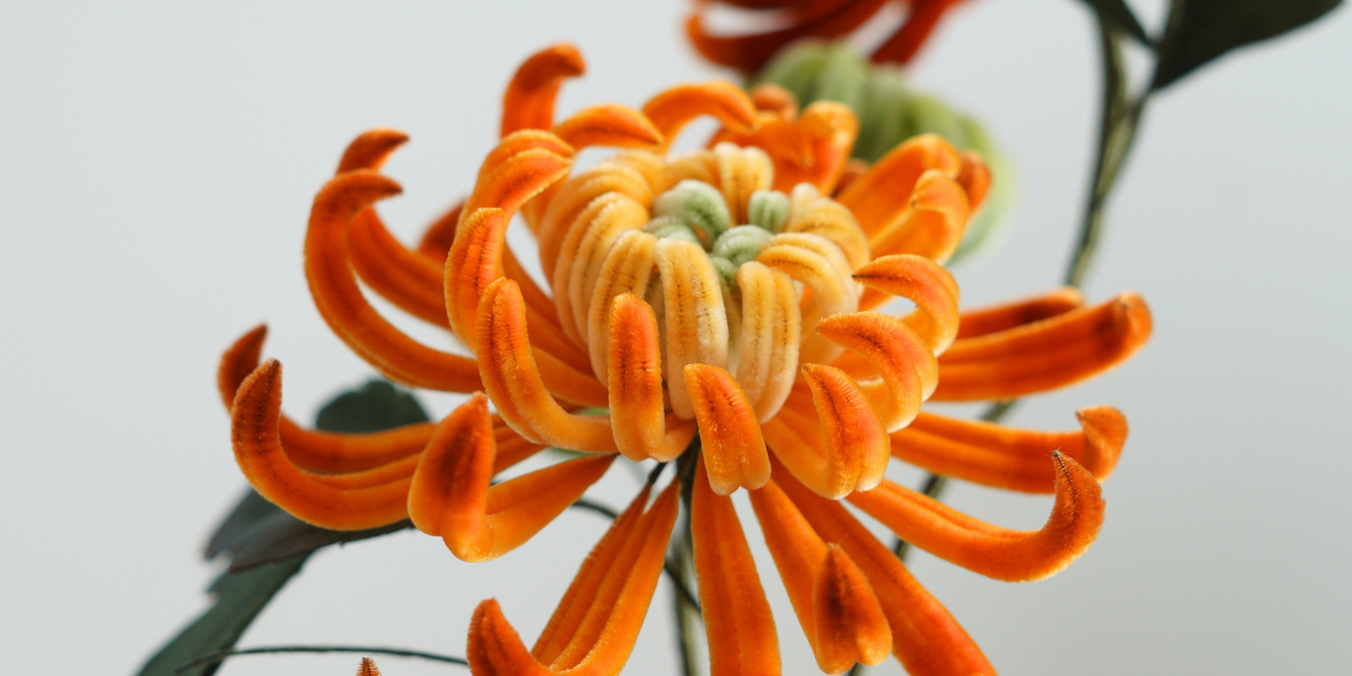 Ronghua Tutorial: How to Make Golden Chrysanthemum Penjing