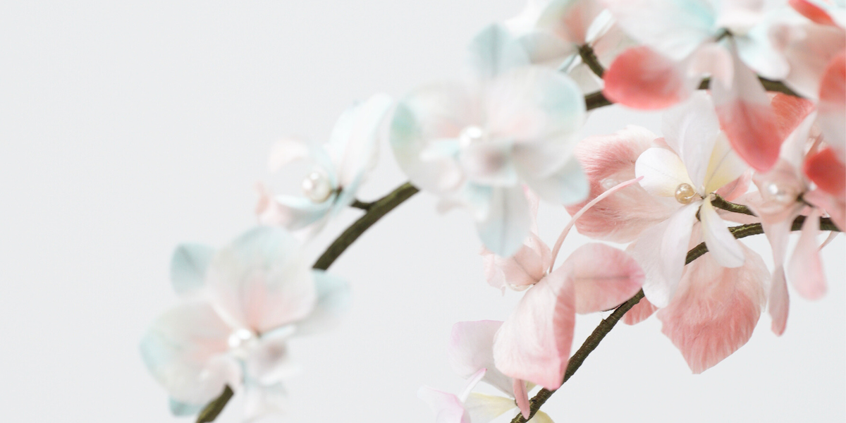 Ronghua Tutorial: How to make Butterfly Orchid Bonsai