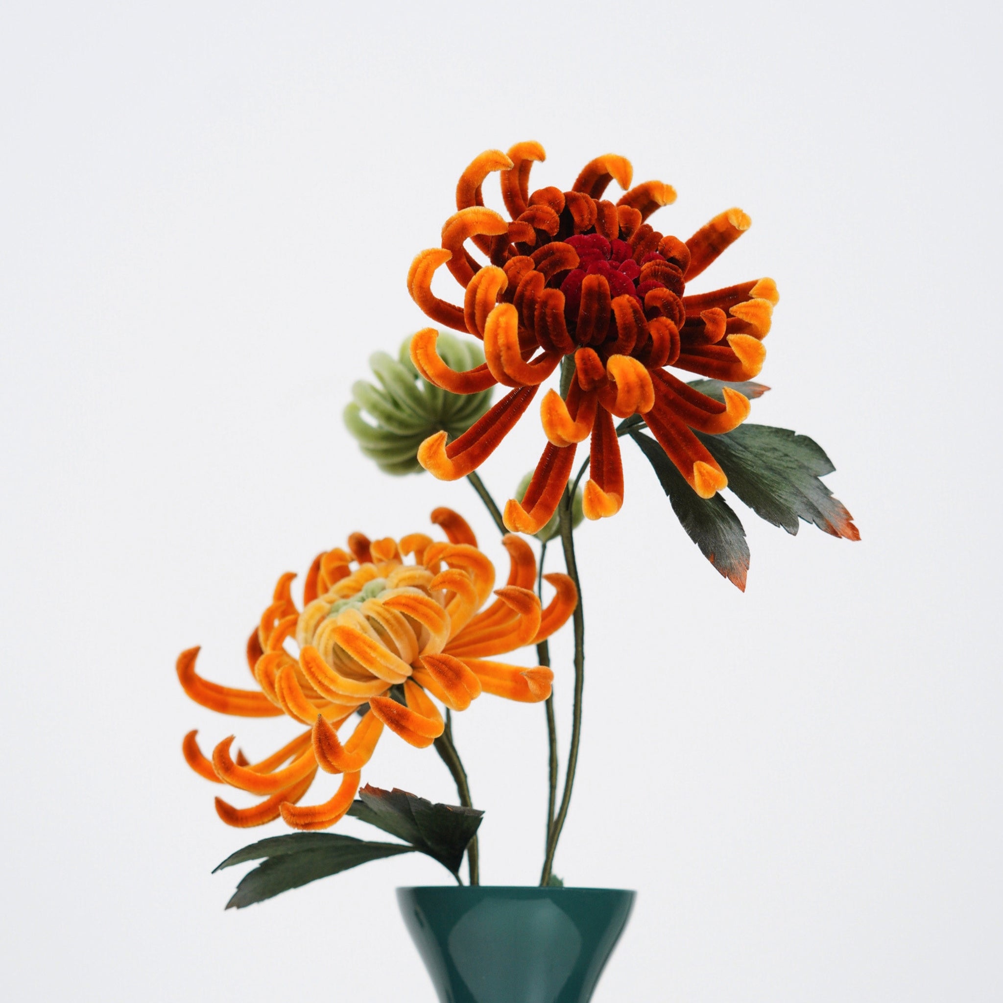 Ronghua DIY Kit | Golden Chrysanthemum Penjing