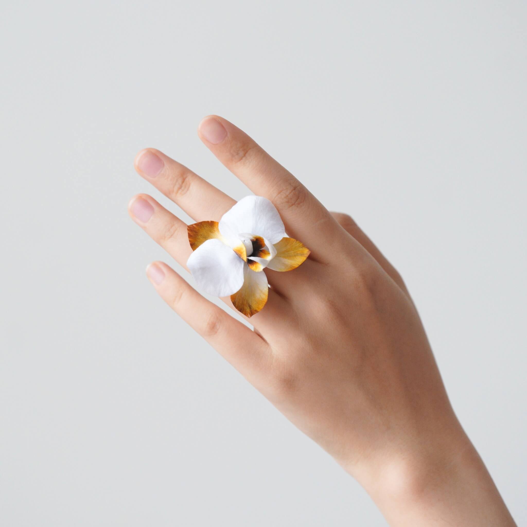 Ronghua DIY Kit | Autumn Dew Butterfly Orchid