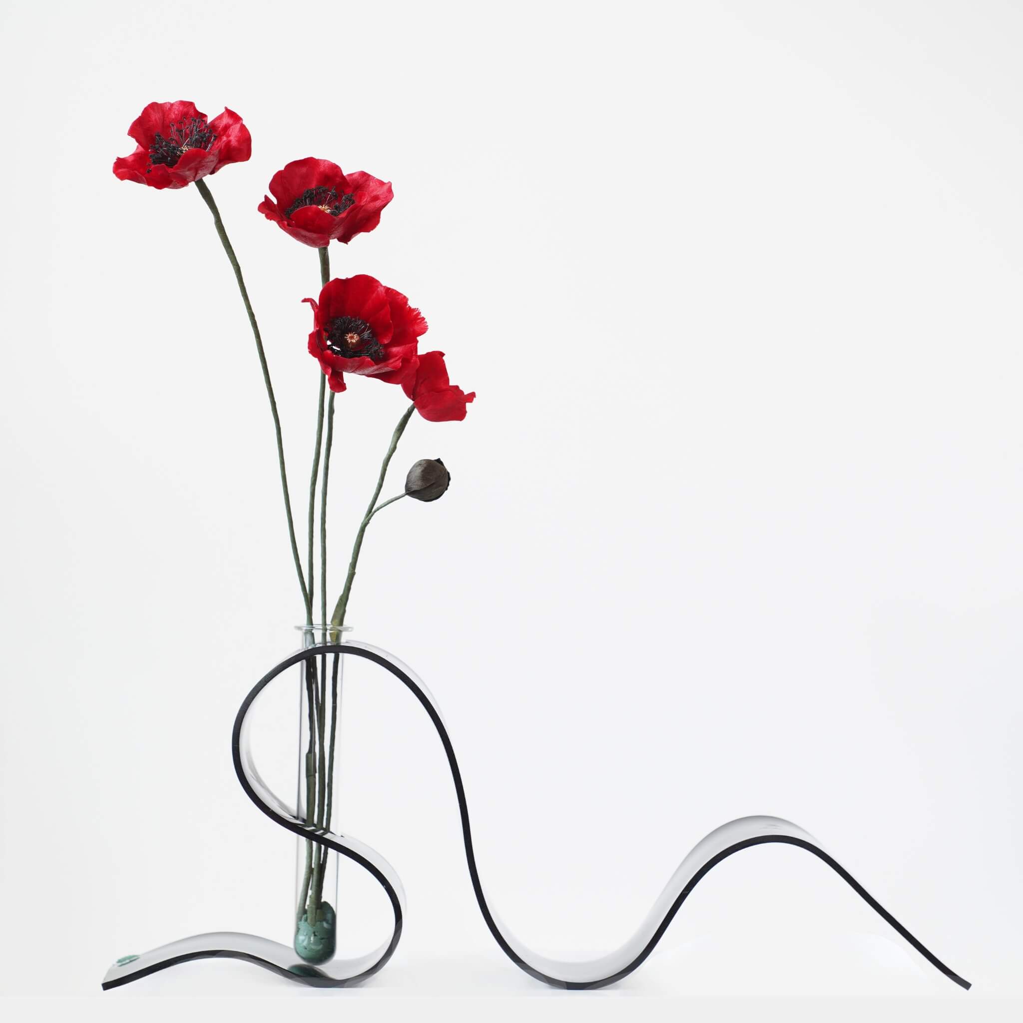 Ronghua DIY Kit | August Poppies