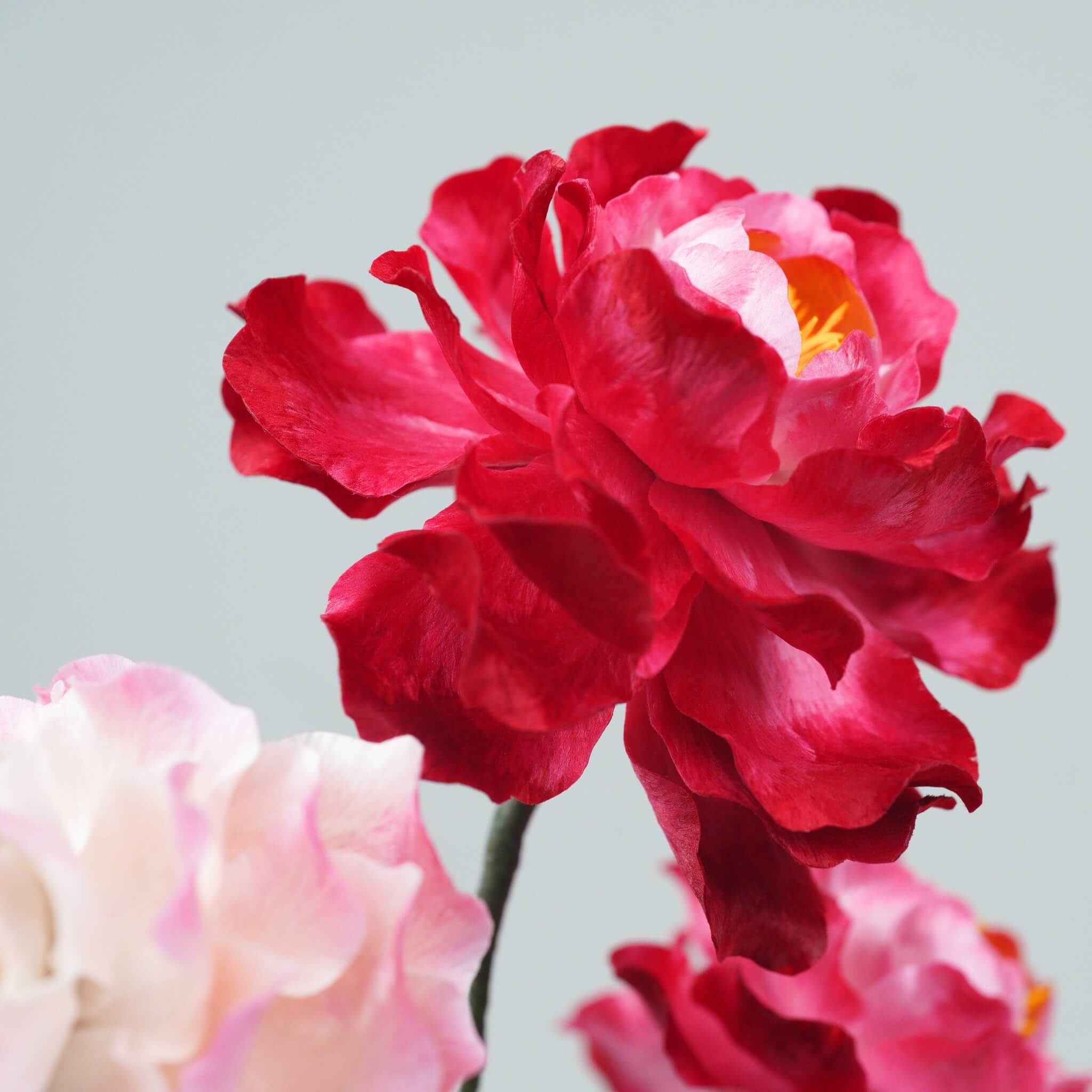 Ronghua DIY Kit | Peonies in Clouds