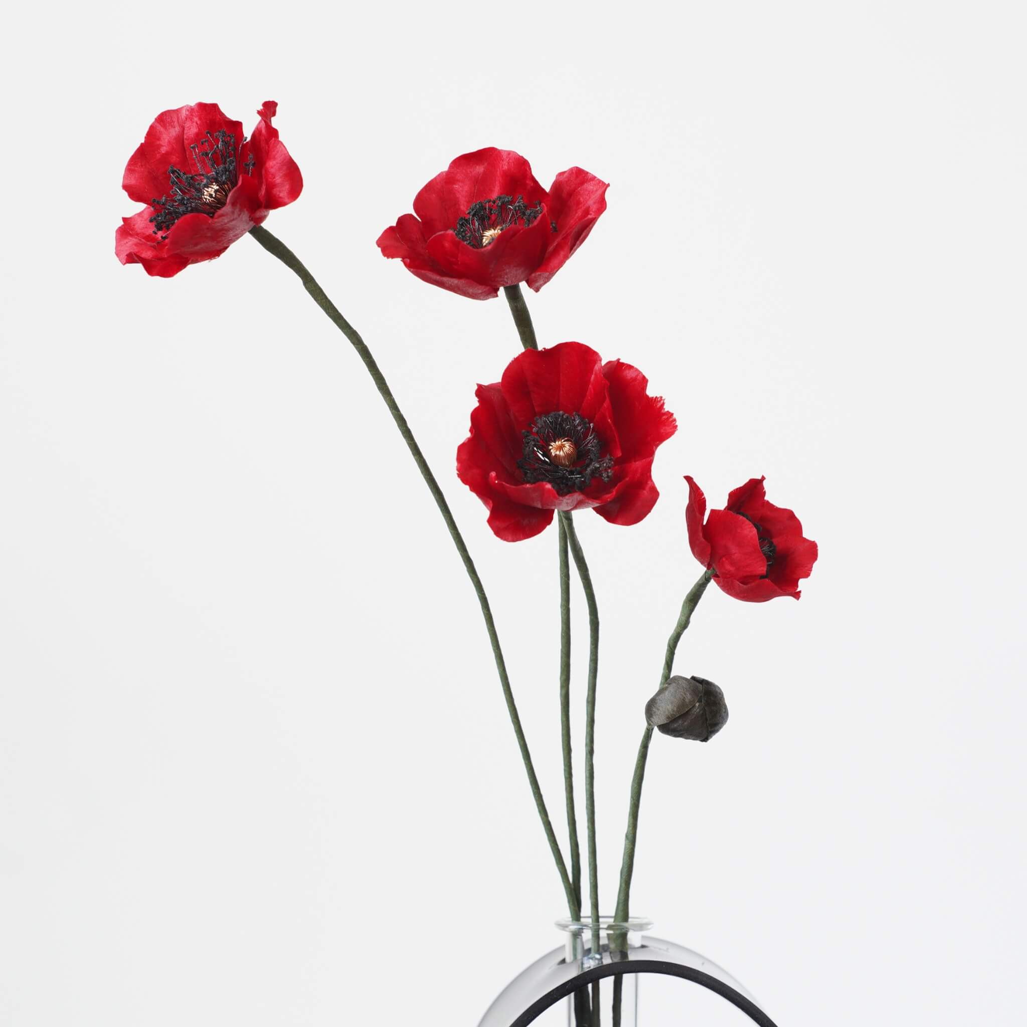 Ronghua DIY Kit | August Poppies