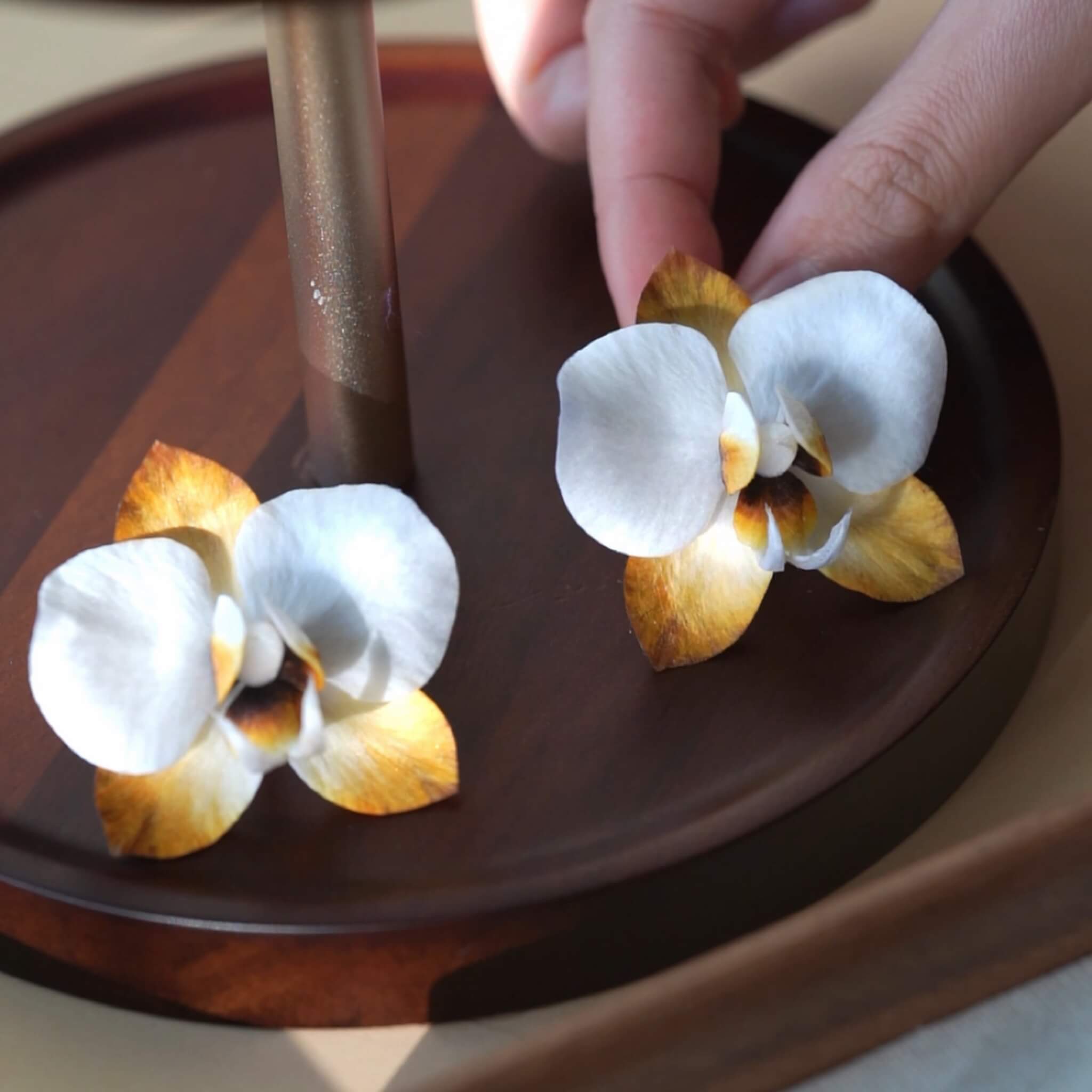 Ronghua DIY Kit | Autumn Dew Butterfly Orchid