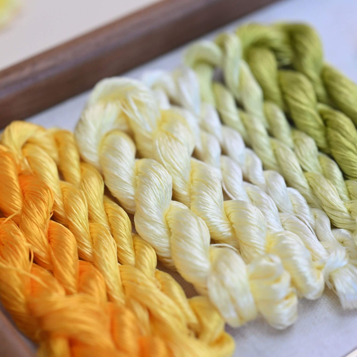 Ronghua DIY Kit | A Letter from Autumn