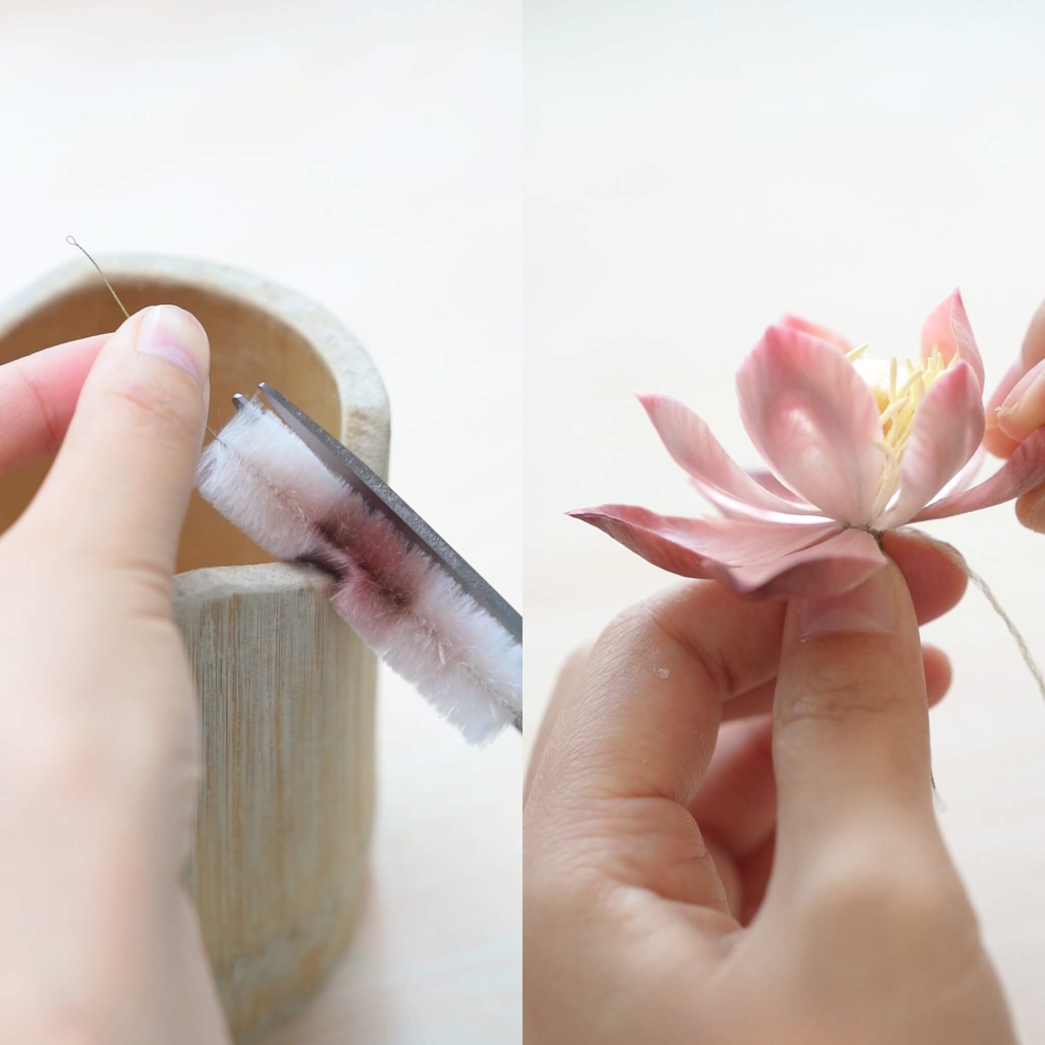 Ronghua & Tanghua DIY Kit | Lotus Pond Penjing/Bonsai