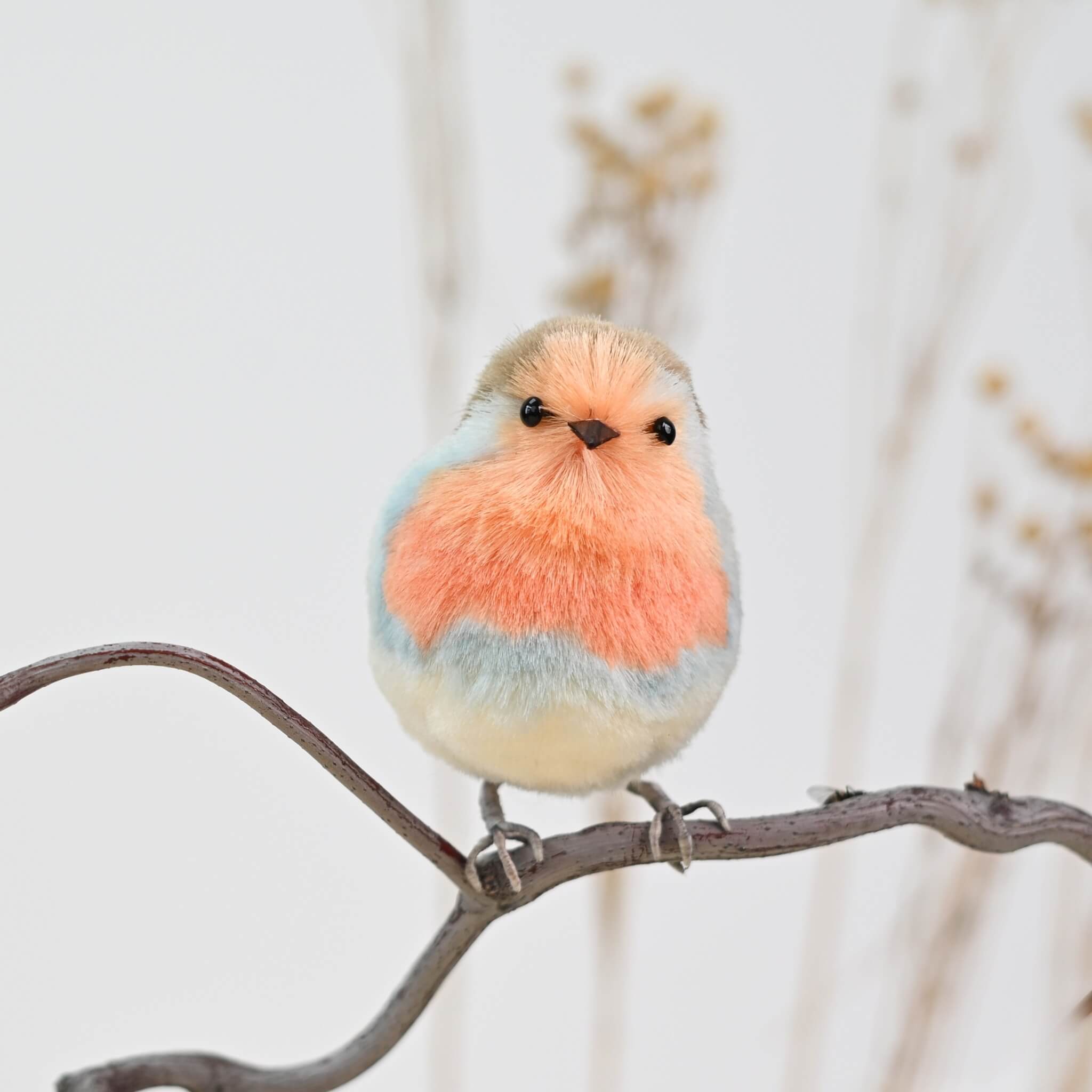 Ronghua DIY Kit | Robin from the Garden