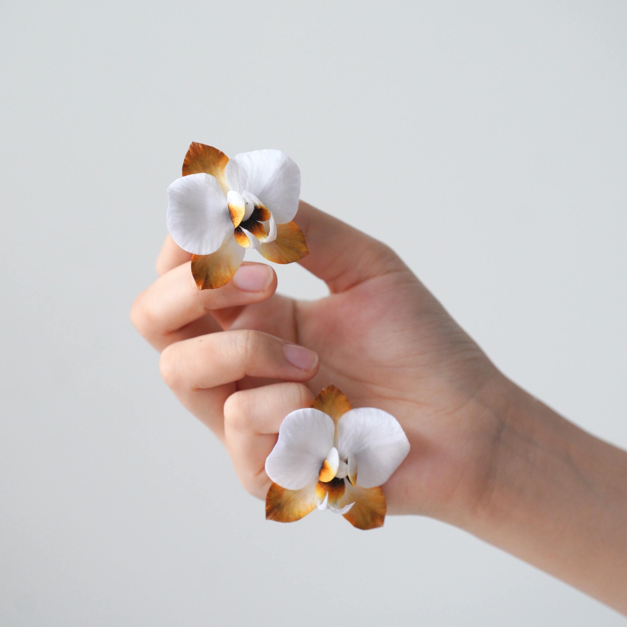 Ronghua DIY Kit | Autumn Dew Butterfly Orchid