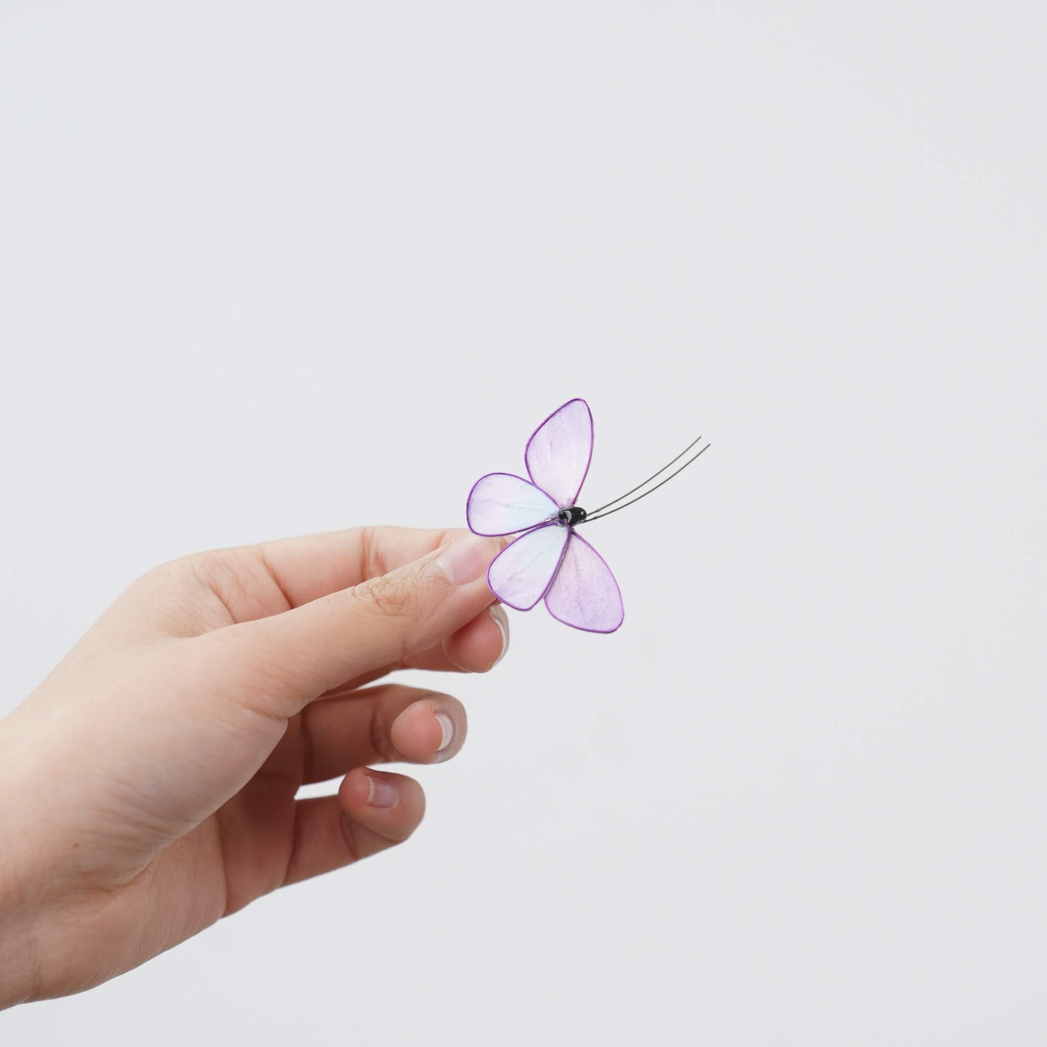 Reborn Butterfly | Limited Gift Edition for Easter 2026