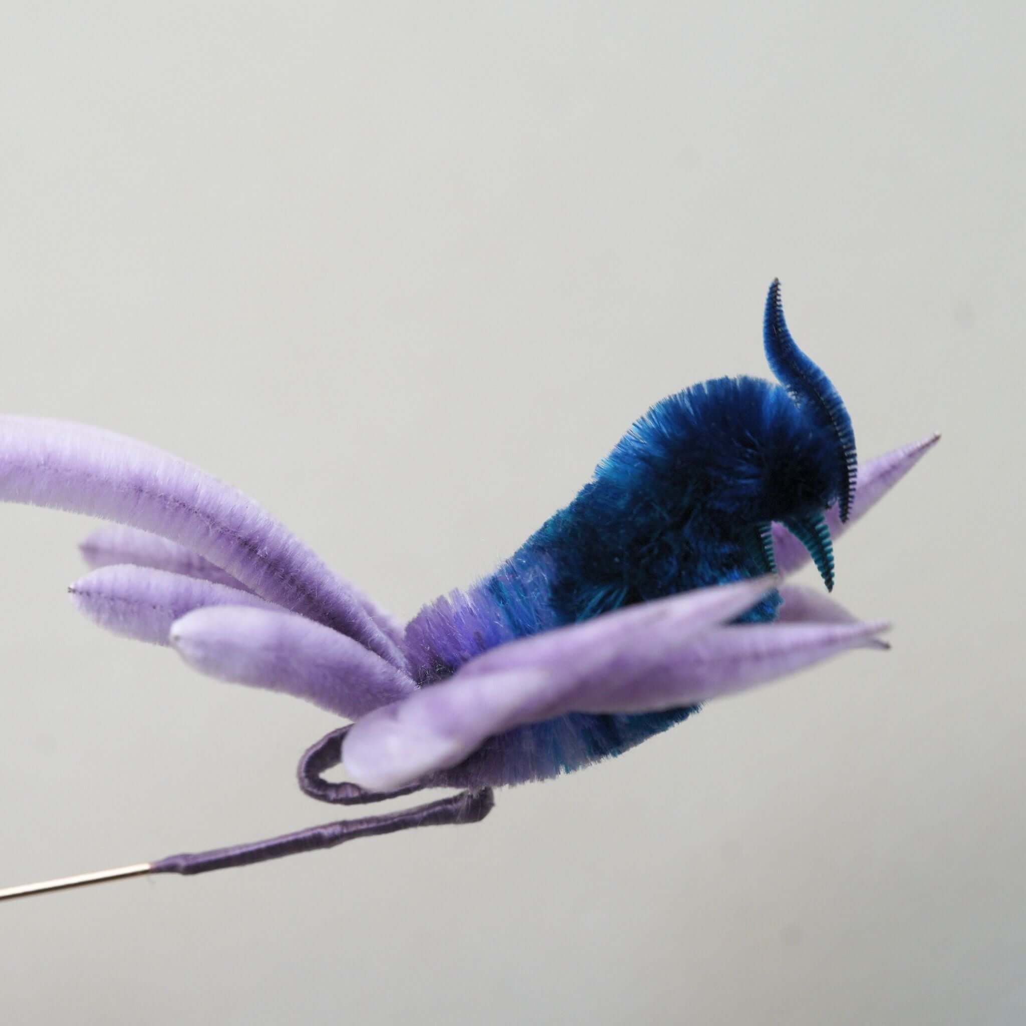 Blue Phoenix