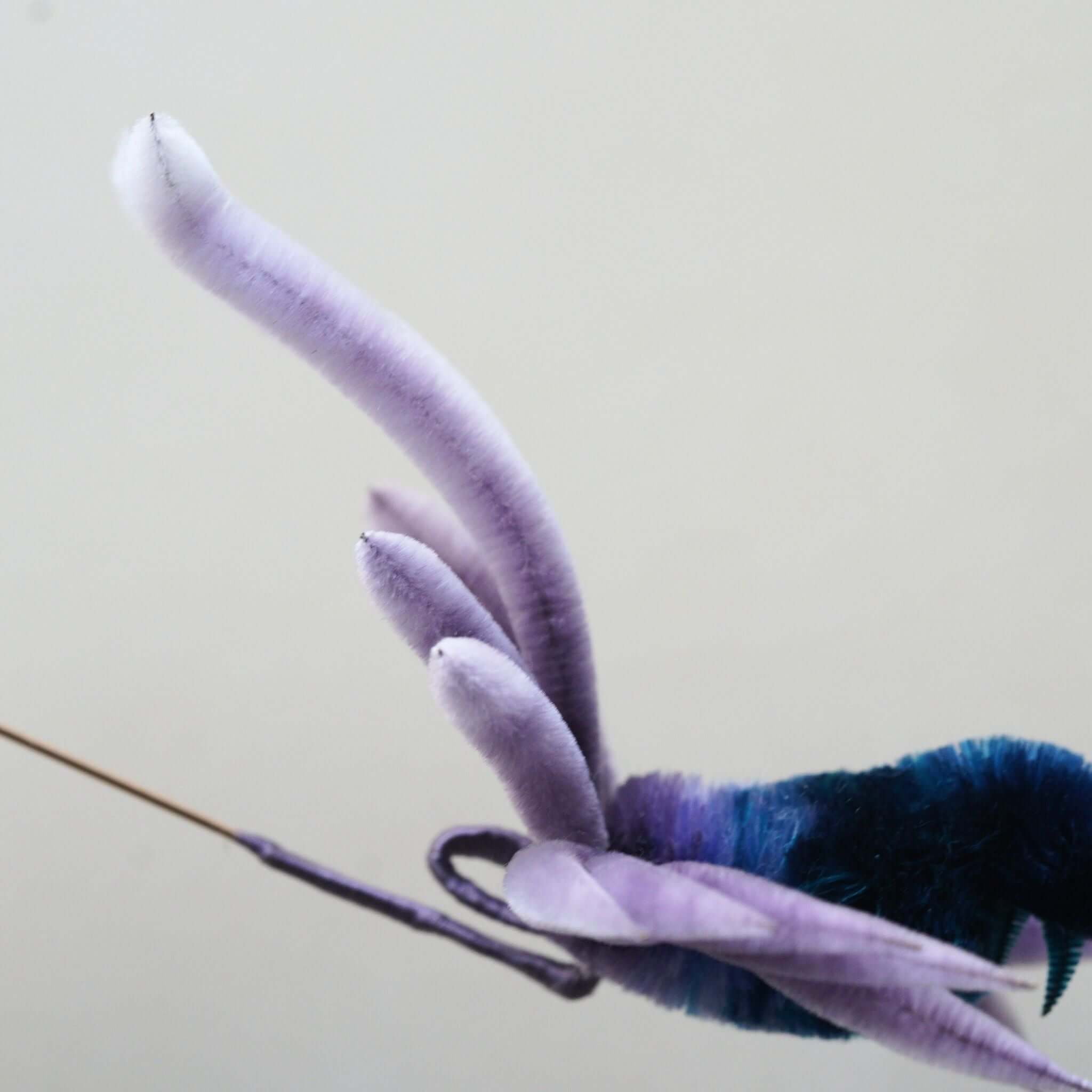 Blue Phoenix