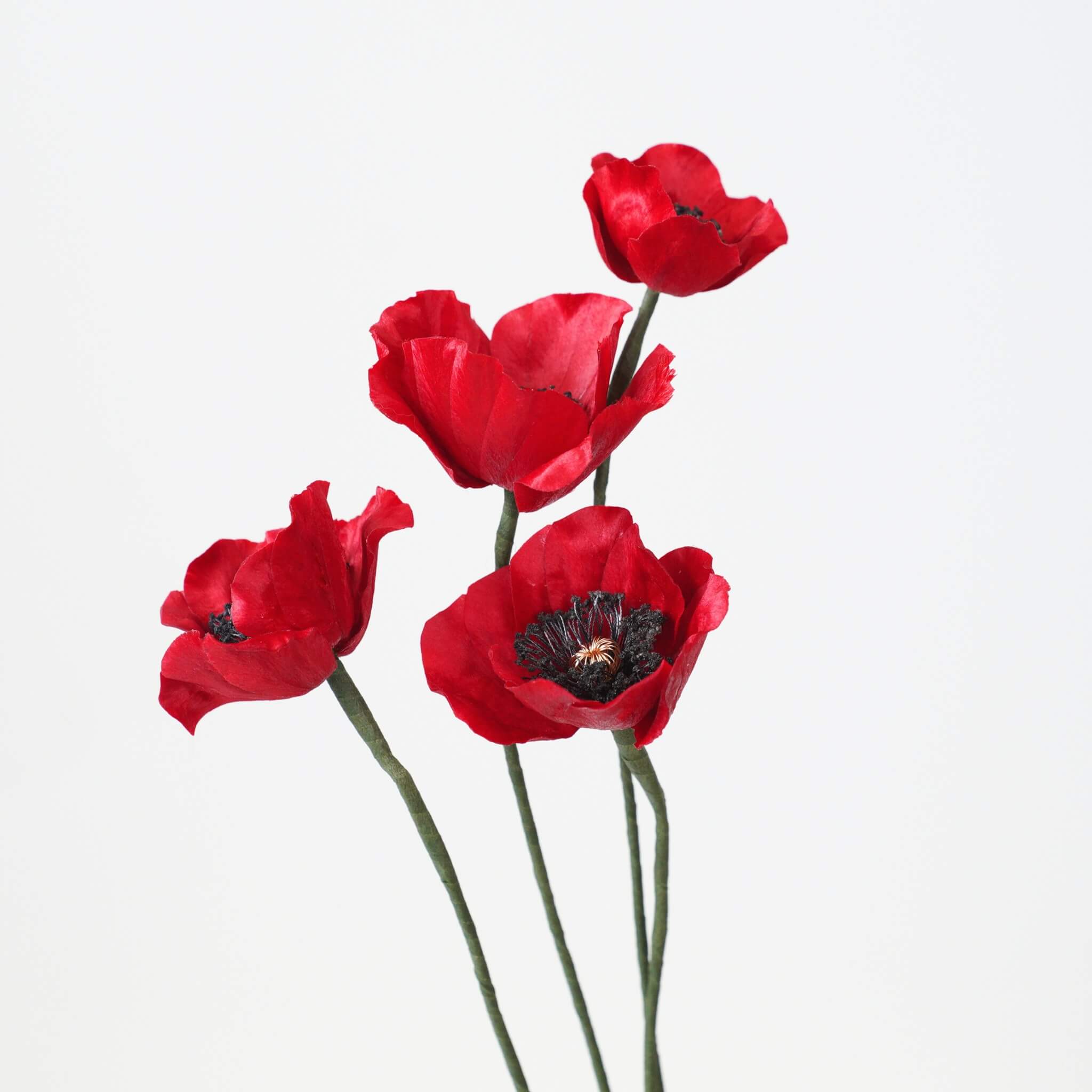 Ronghua DIY Kit | August Poppies