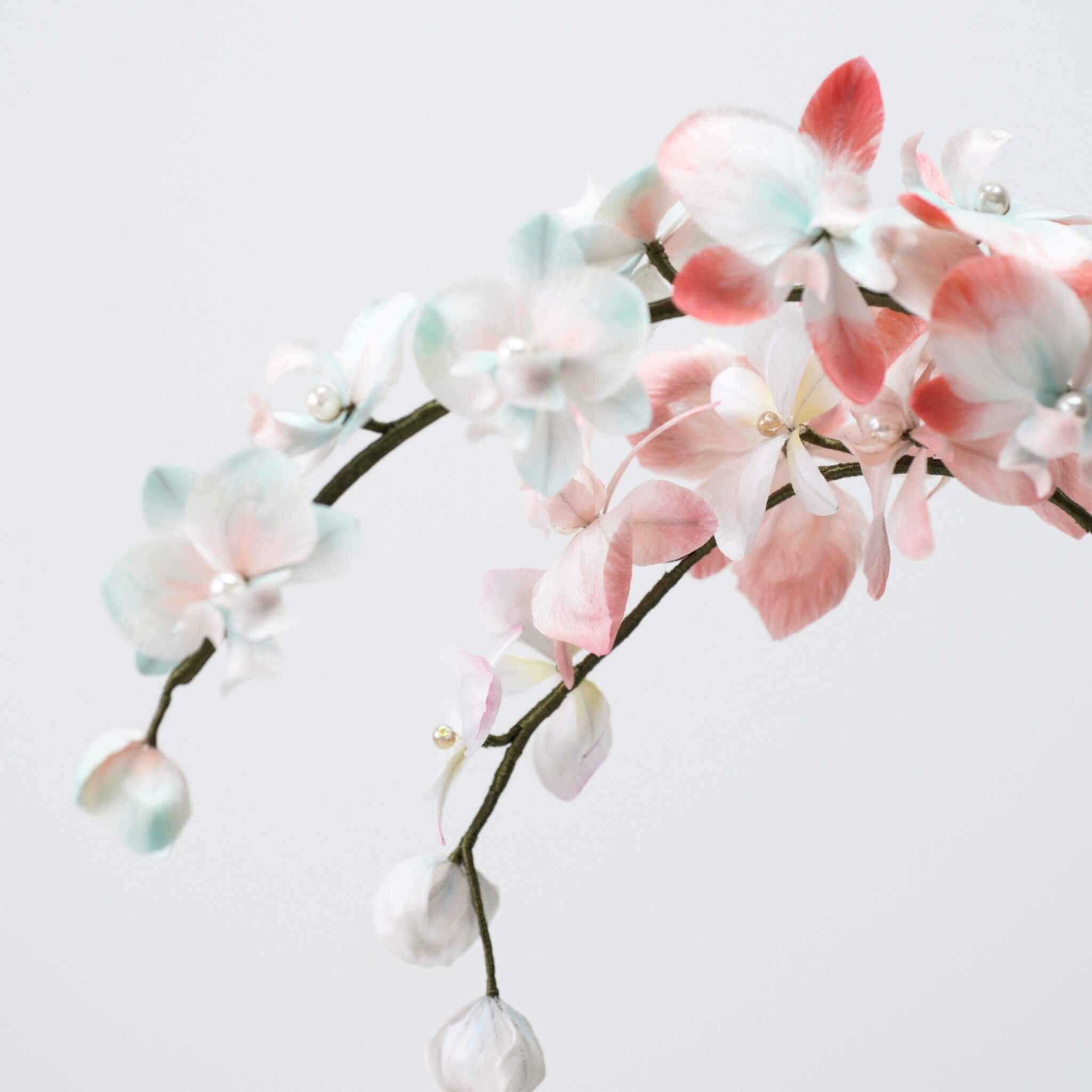 Ronghua DIY Kit | Butterfly Orchid Penjing / Bonsai