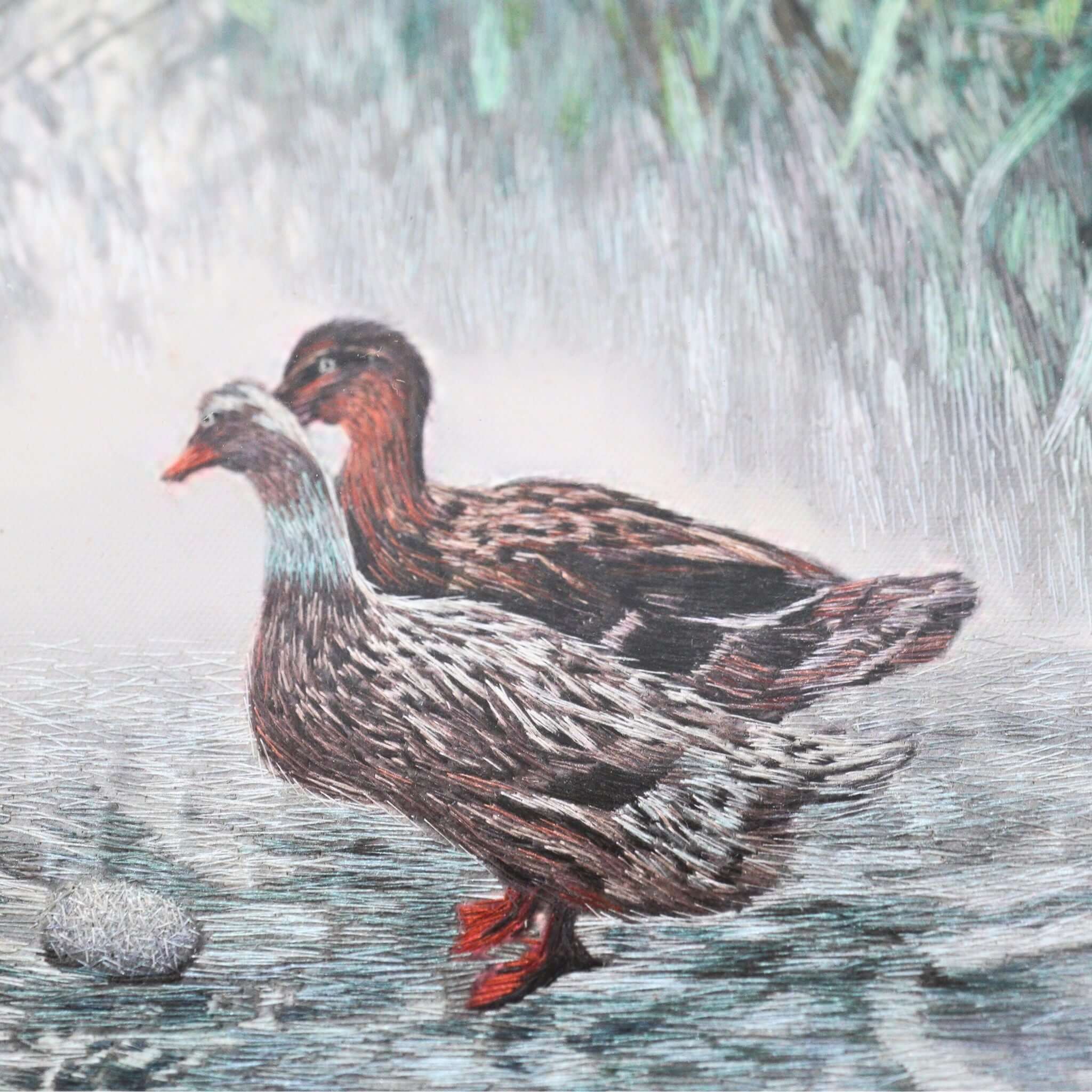 Ducks in Spring Time